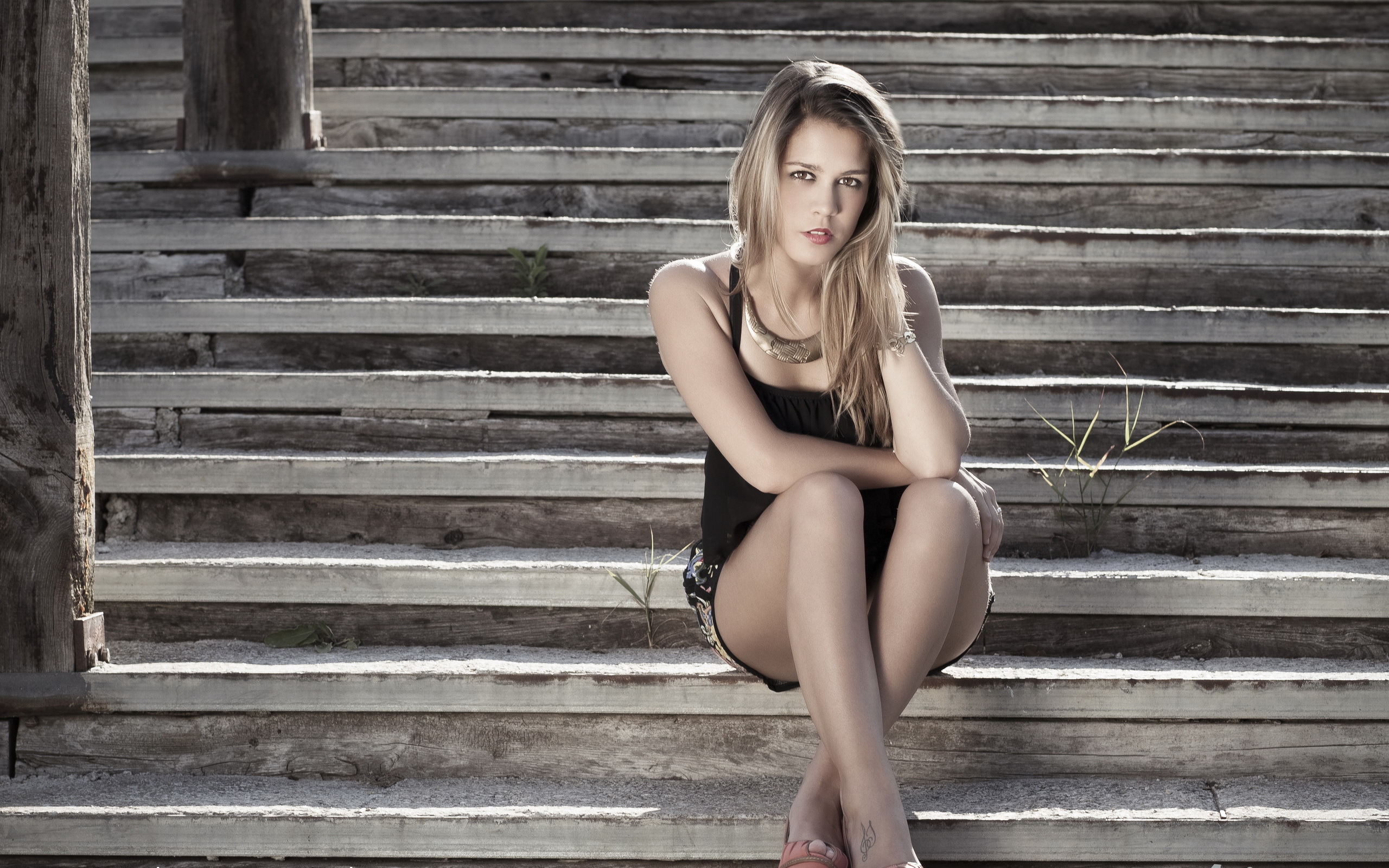 hive, пользователи, flickr