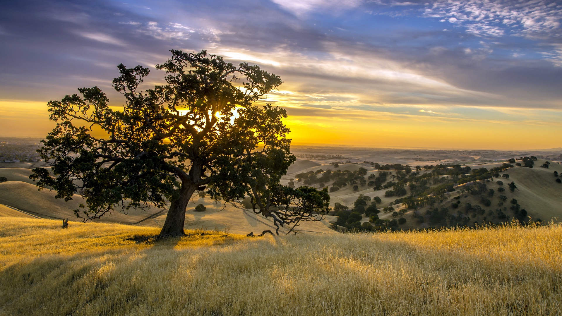 закат, полюс, довитба
