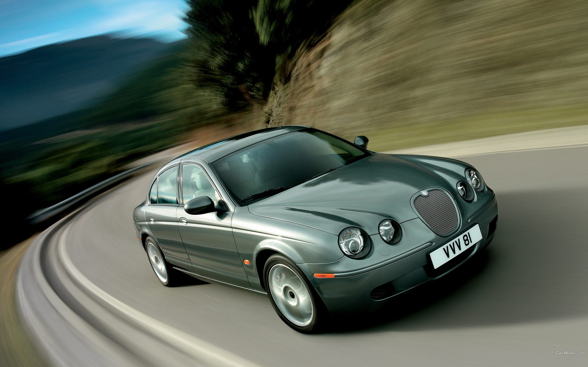 женский вид автомобиля, едущего по дороге с размытыми деревьями