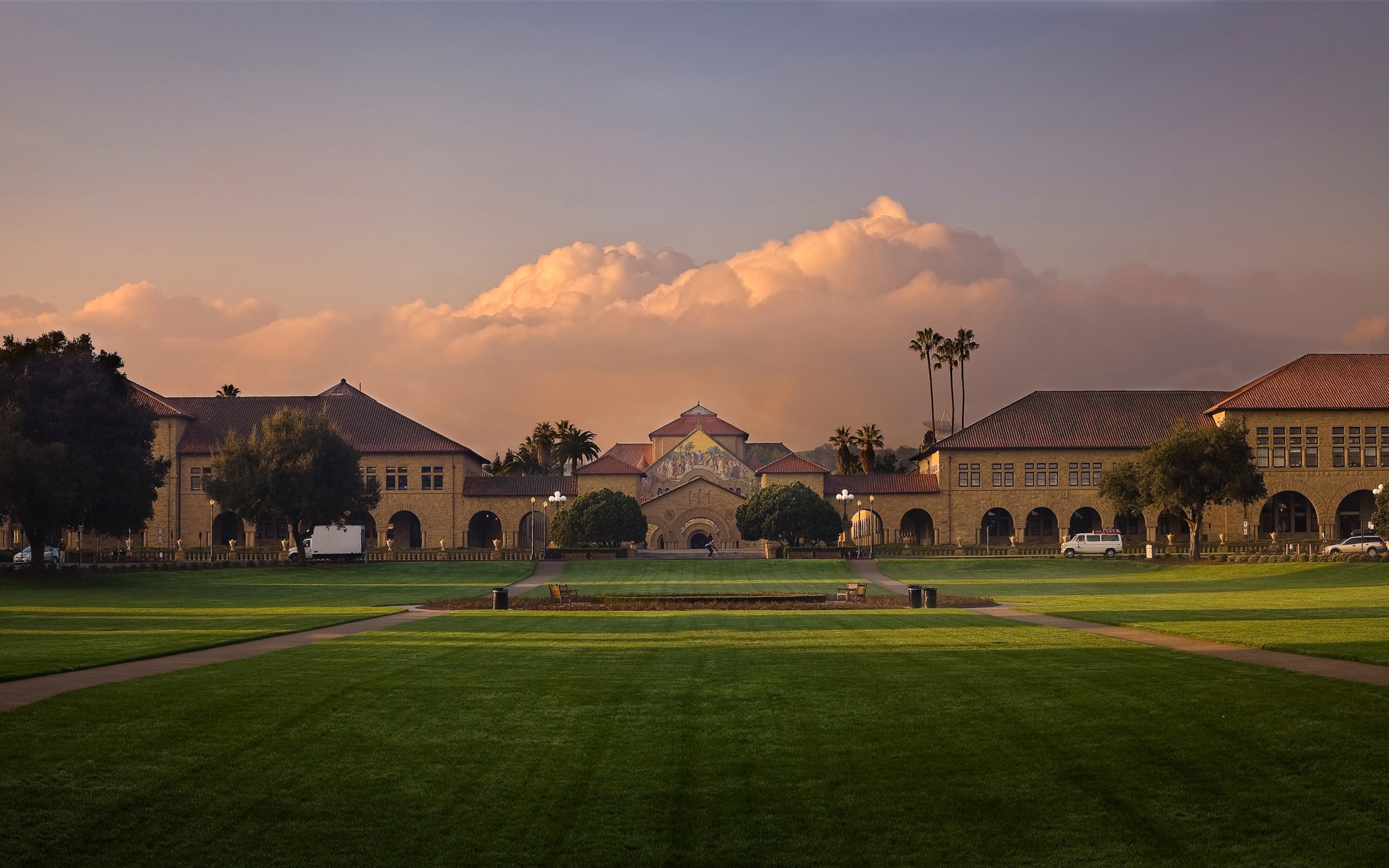stanford, university, поступить