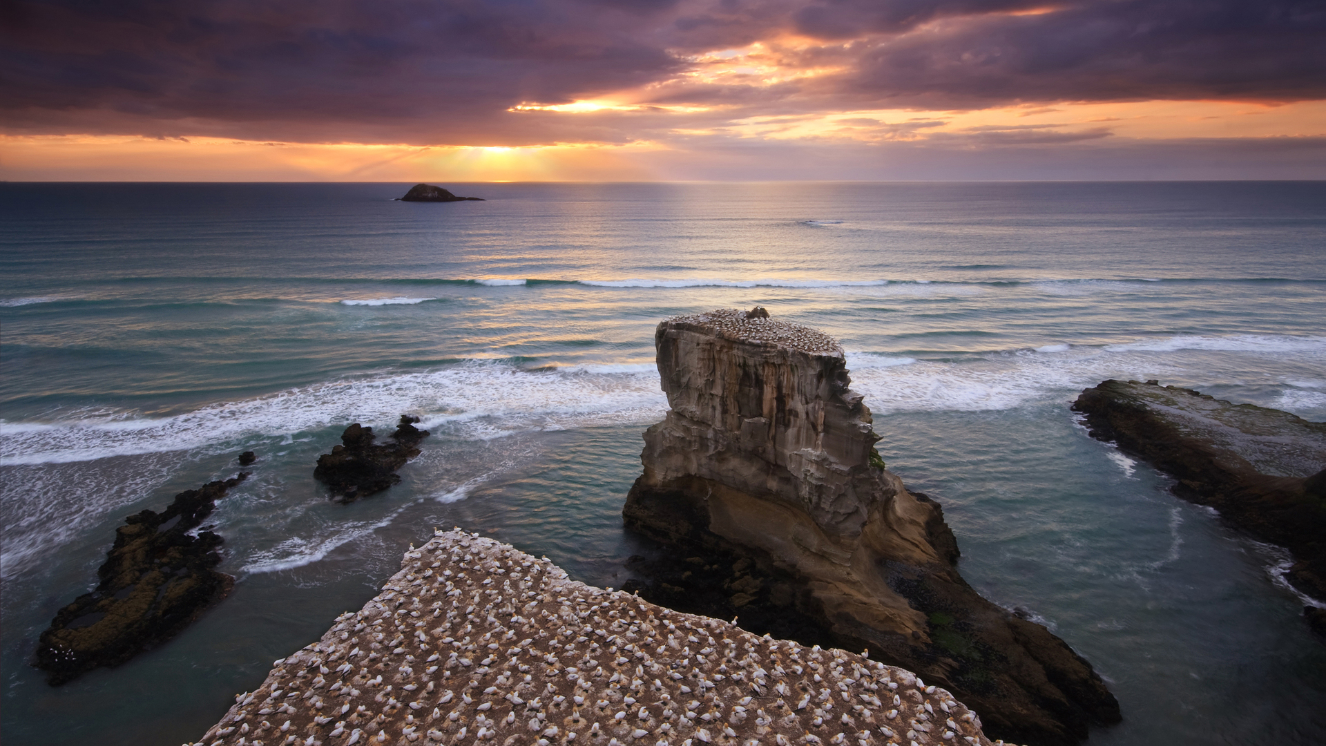 muriwai, о джинсах
