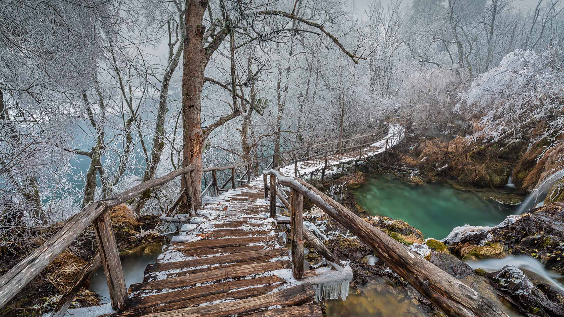 площадь, парк, подвеска