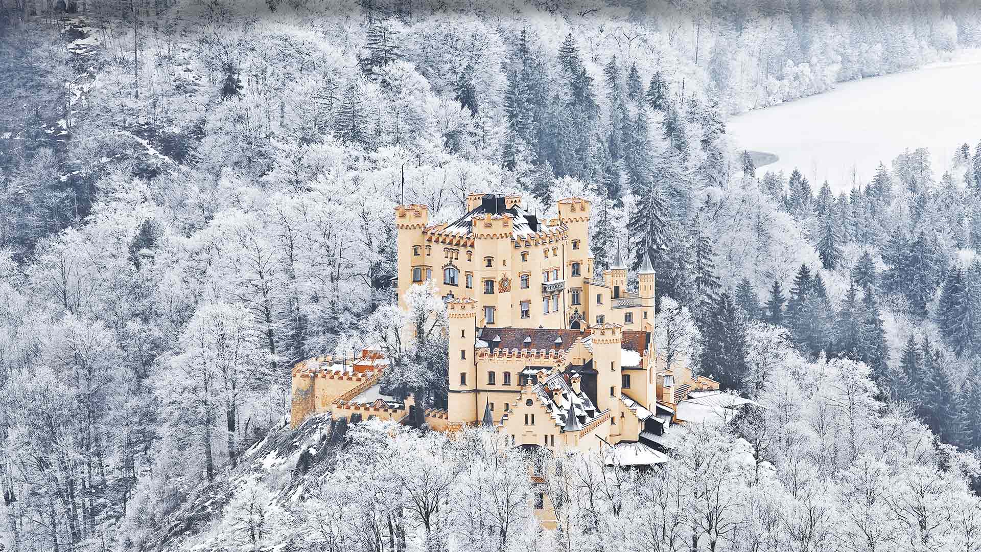 хоэншвангау, castle