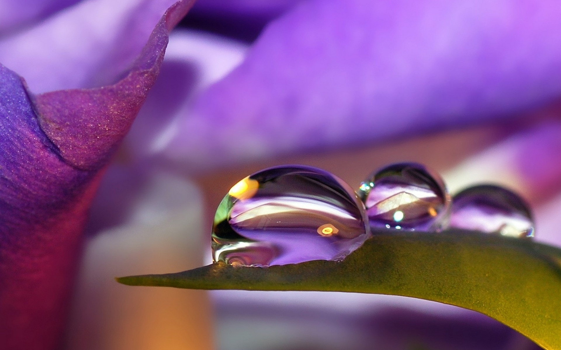 waterdrops, сиреневый