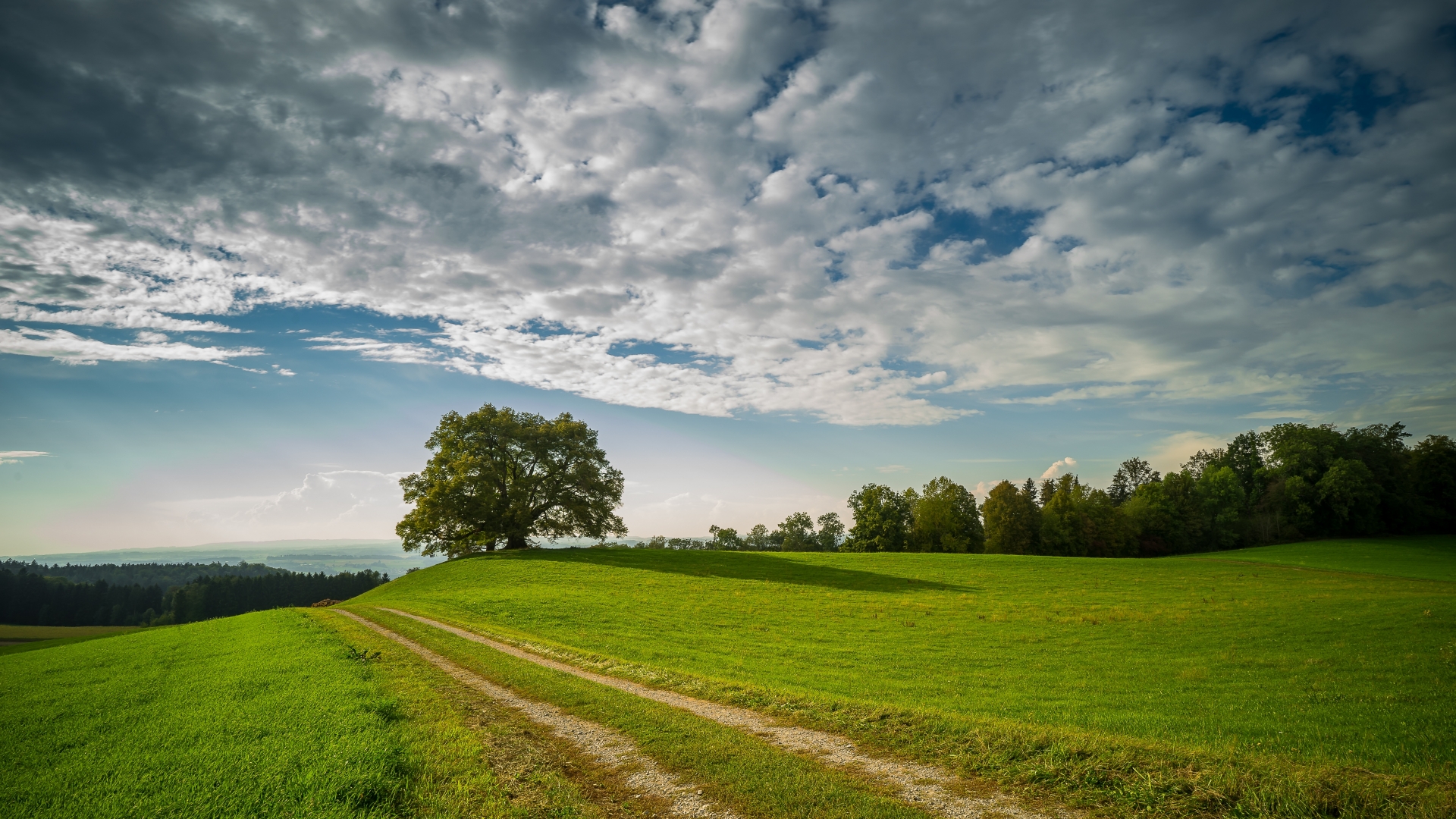 стиль, поле