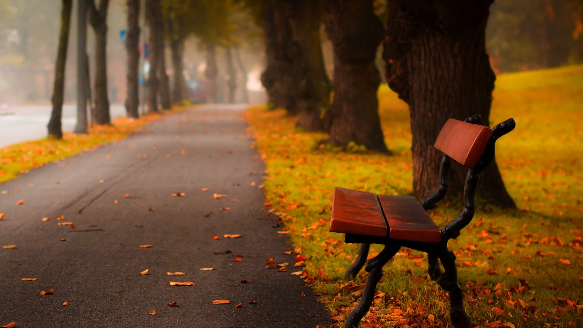 Осень в парке скамейка аллея