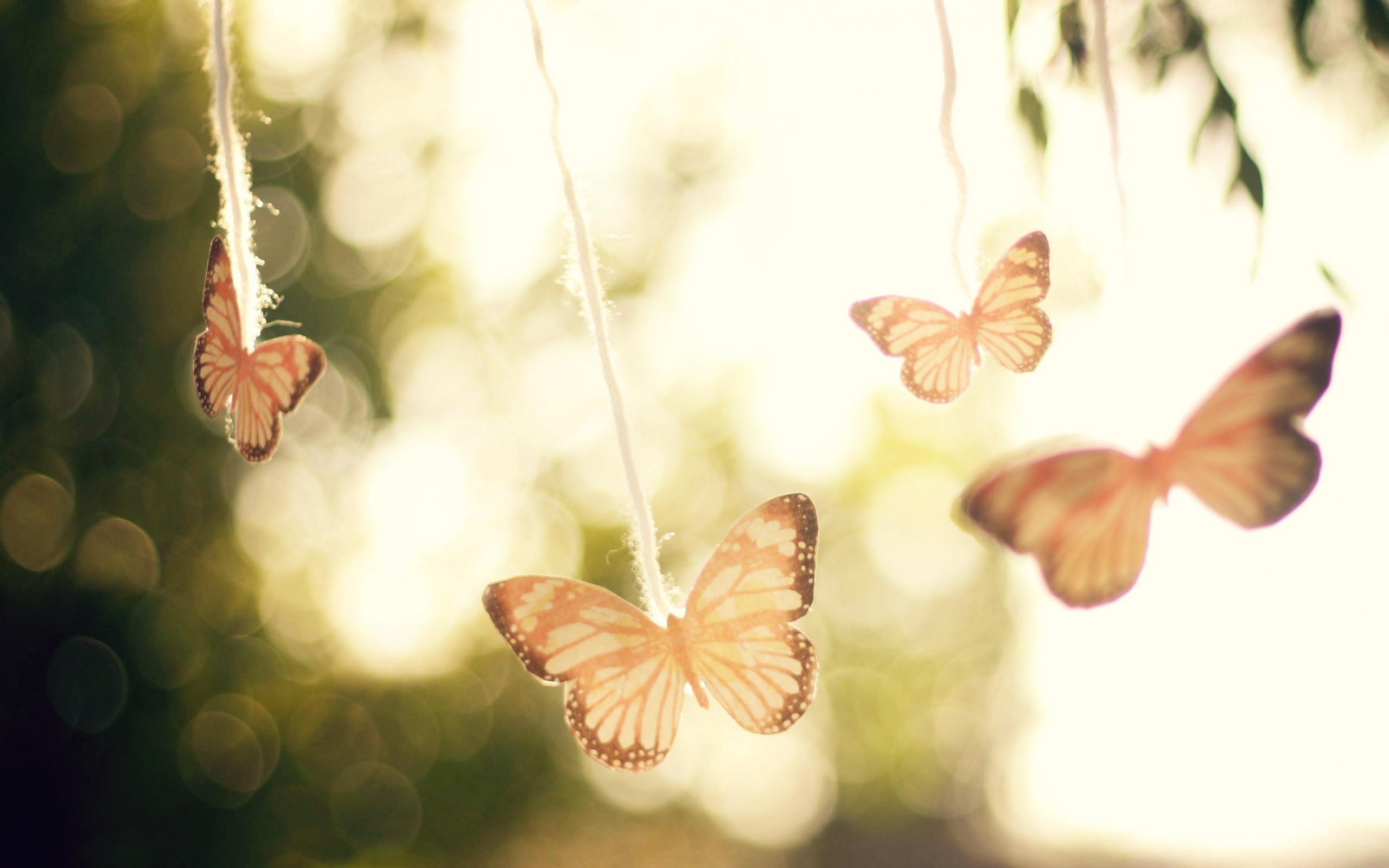 бабочка, настроение, небо