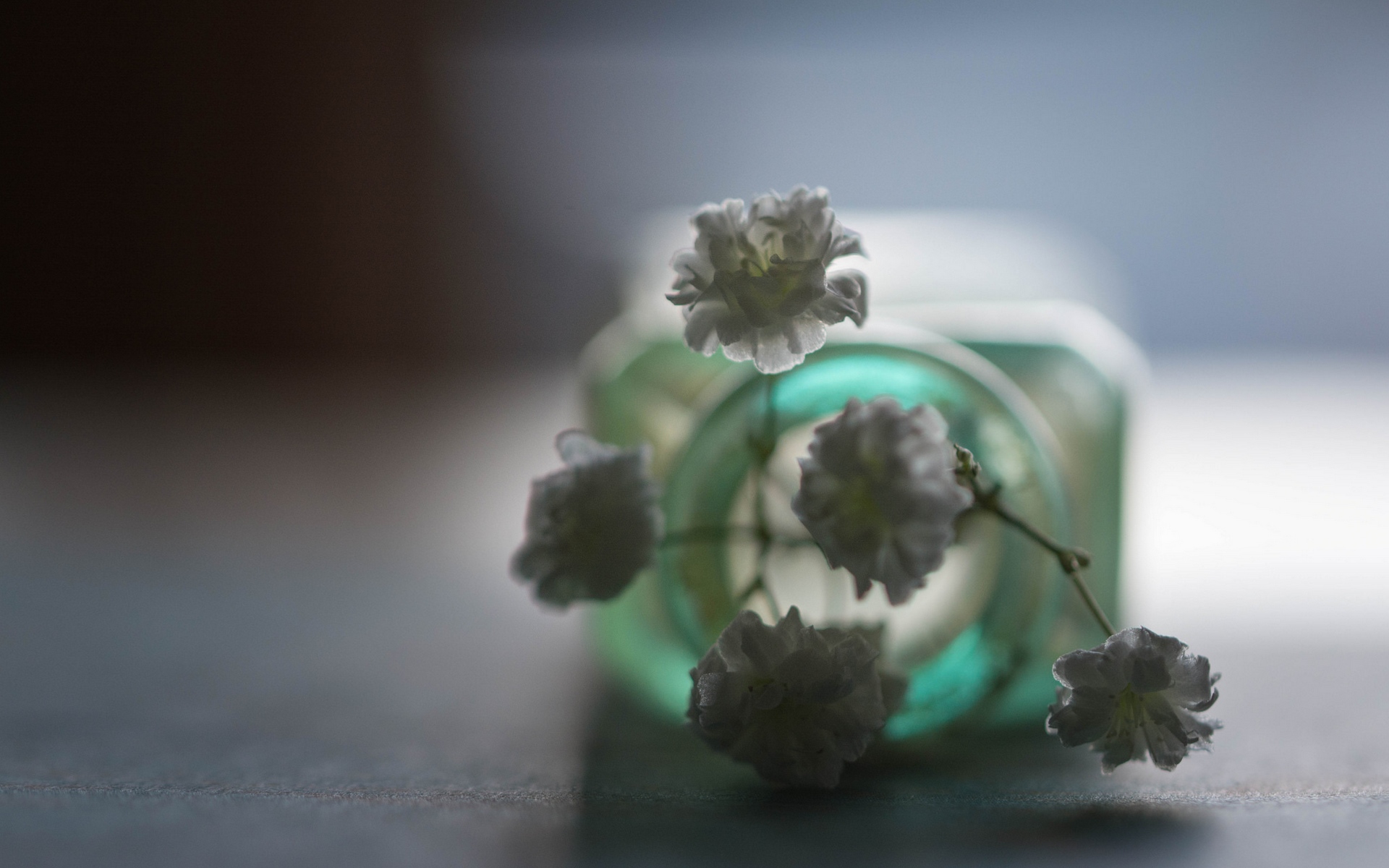 баночка, цветы