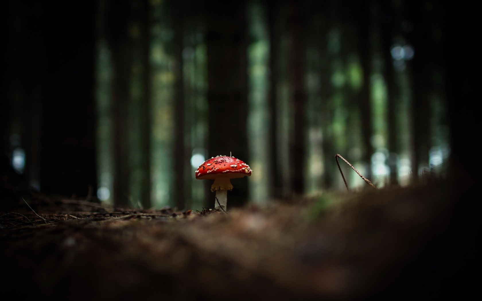 landscape, natural, release