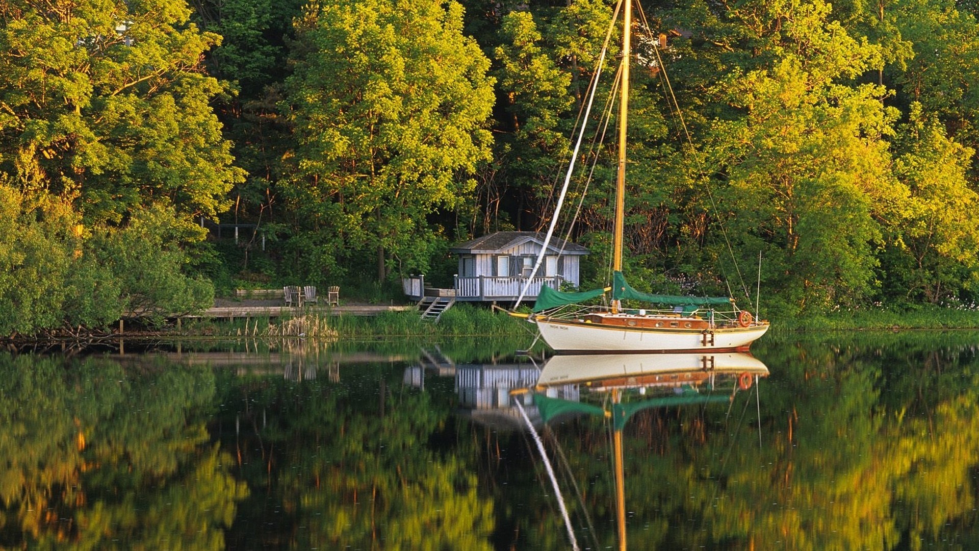 главная→исполнители→royalty