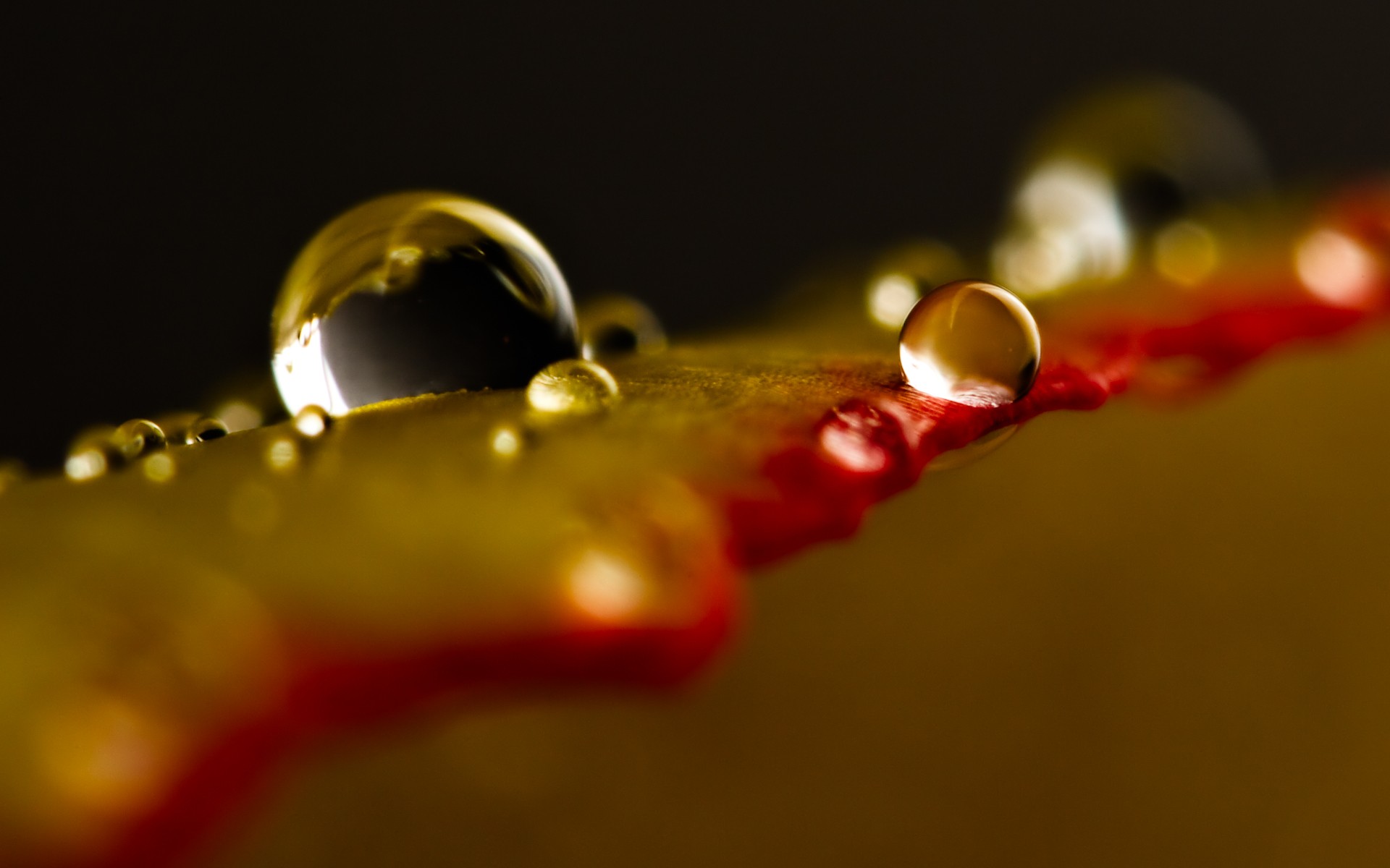 water, drop, природа
