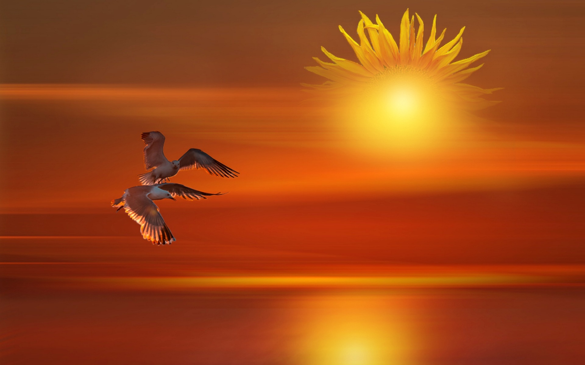 Разрешение 1920x1200