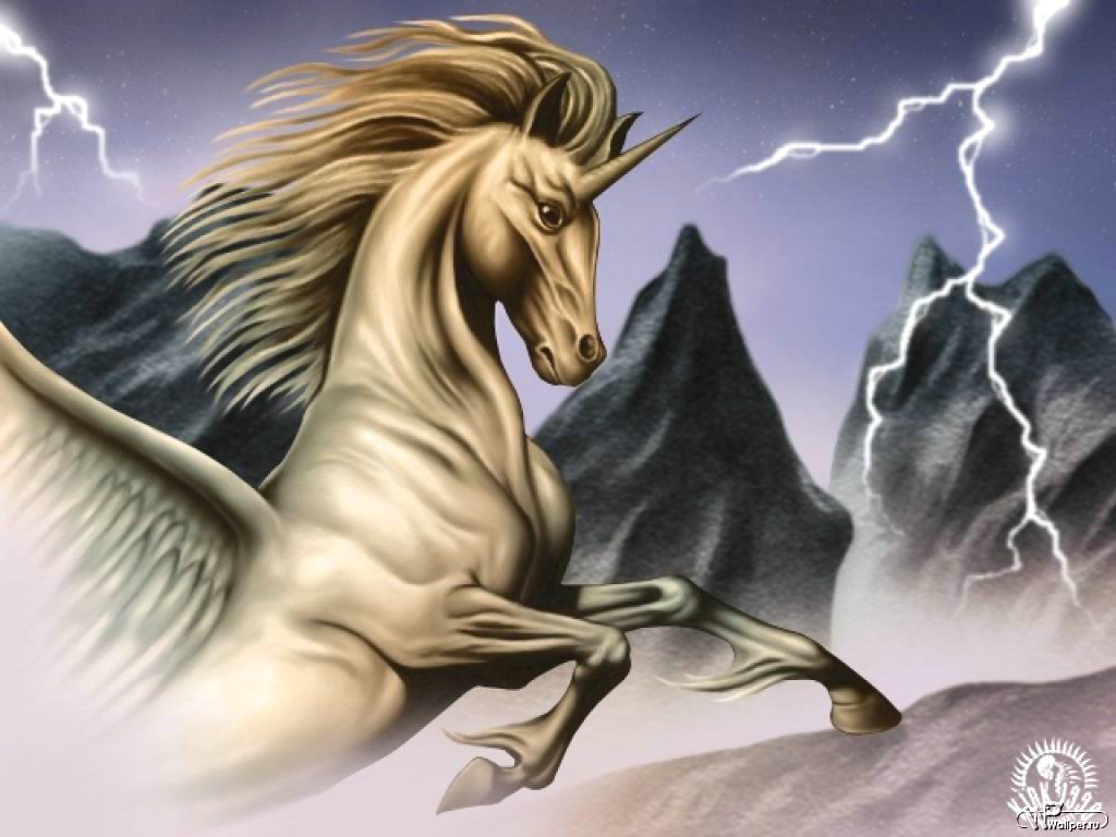 лошади, информация, прочитать