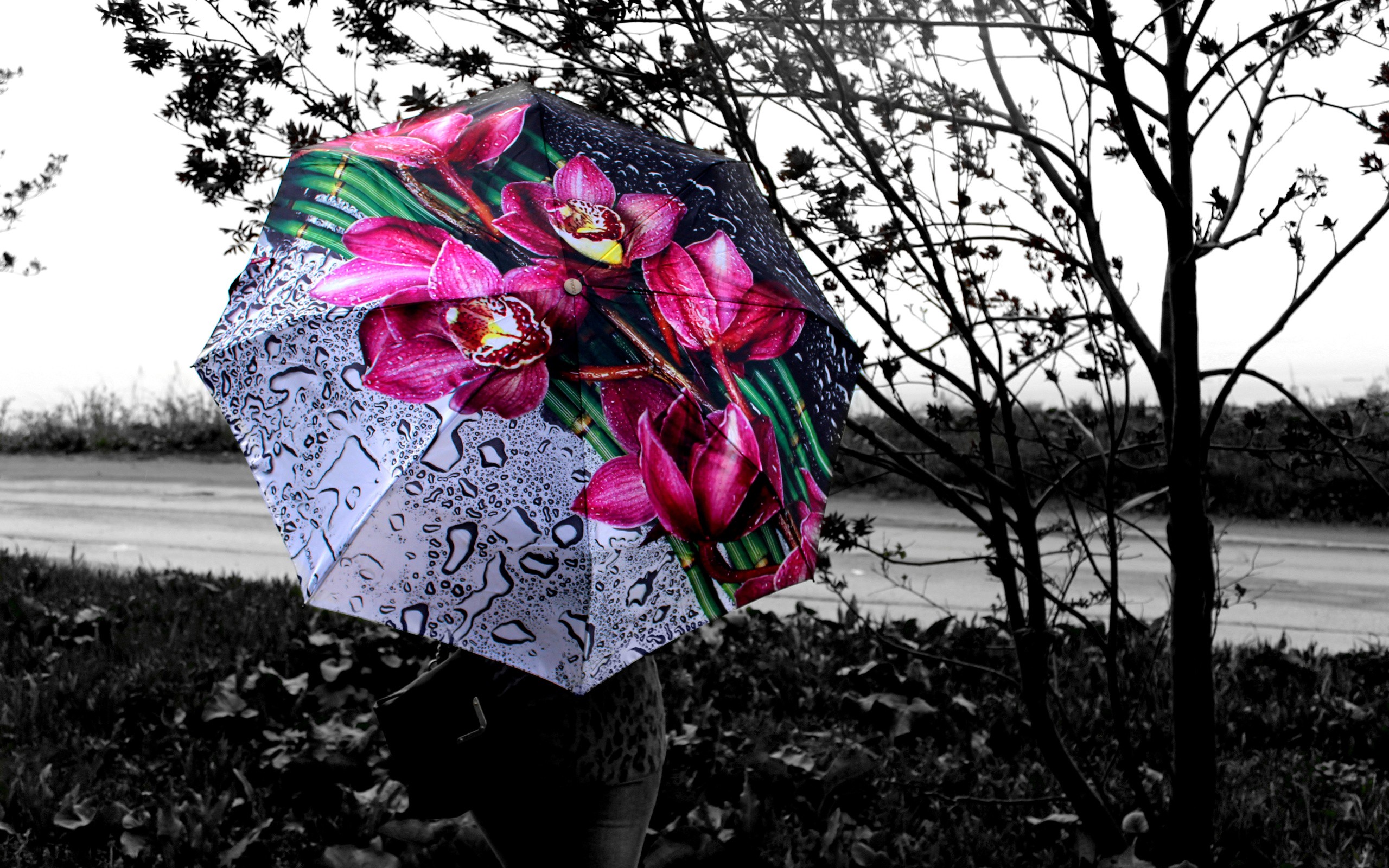 Мир зонтиков. Зонтик. Черно белые с цветными элементами. Цветы в зонтике. Зонт "цветочек".