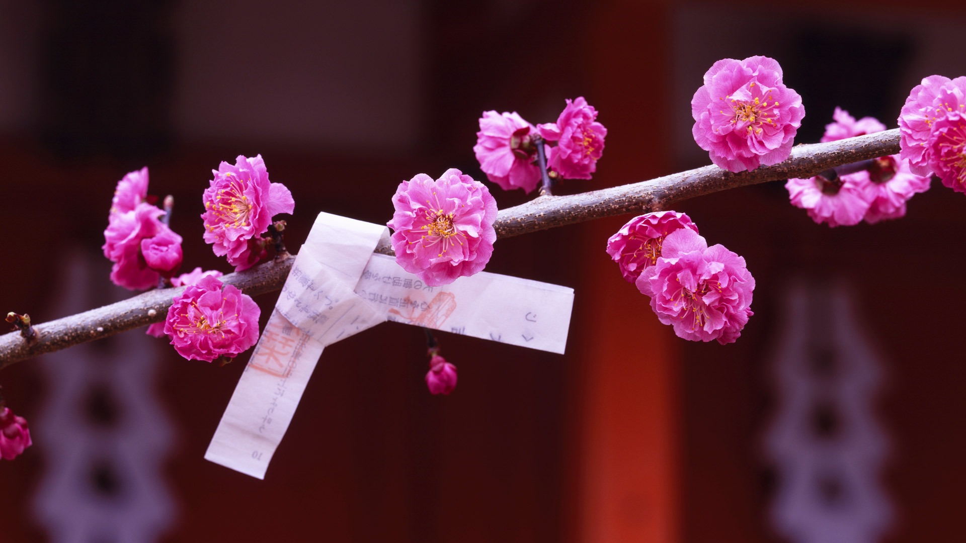 изображения, запас, слива