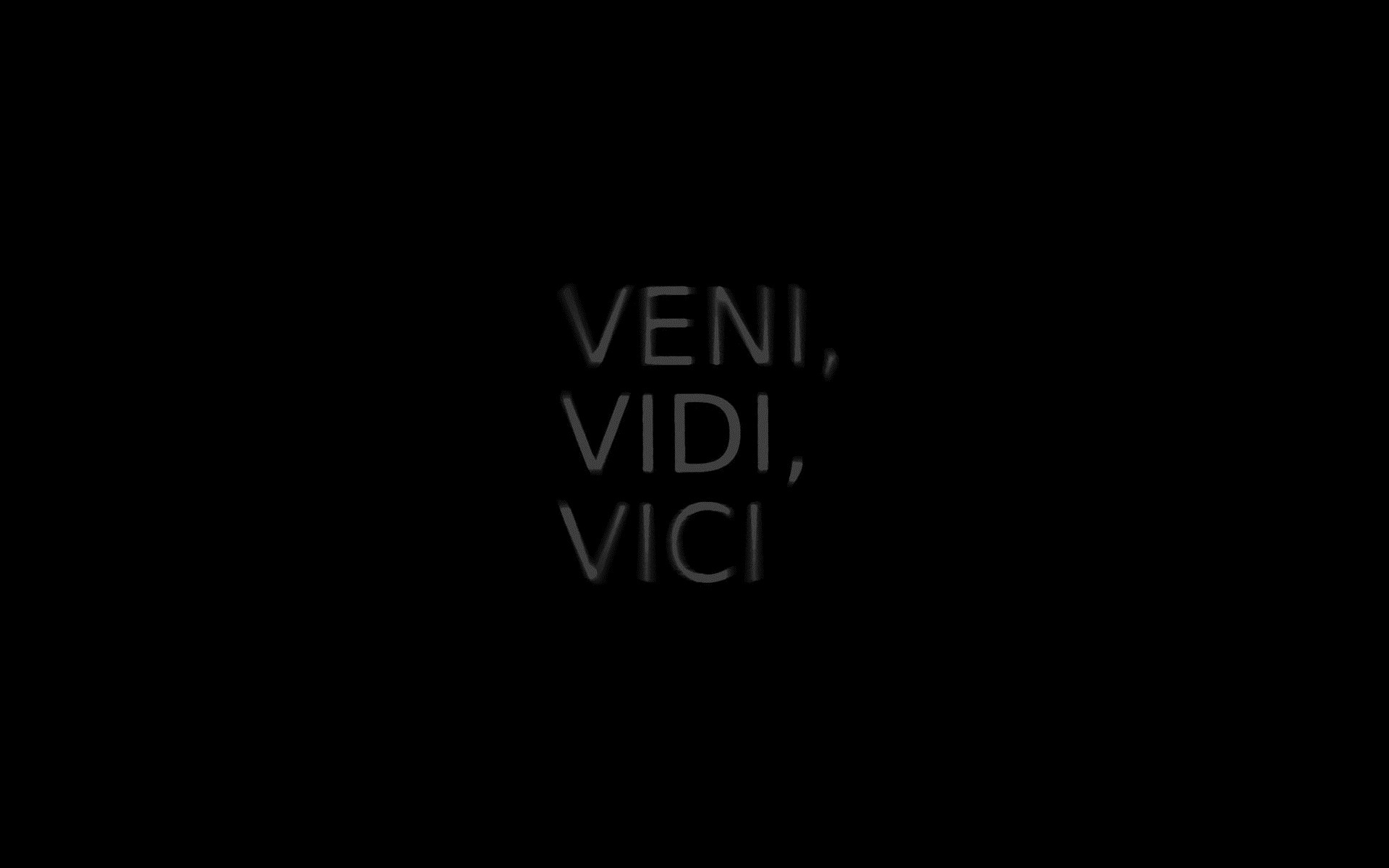 vidiveni