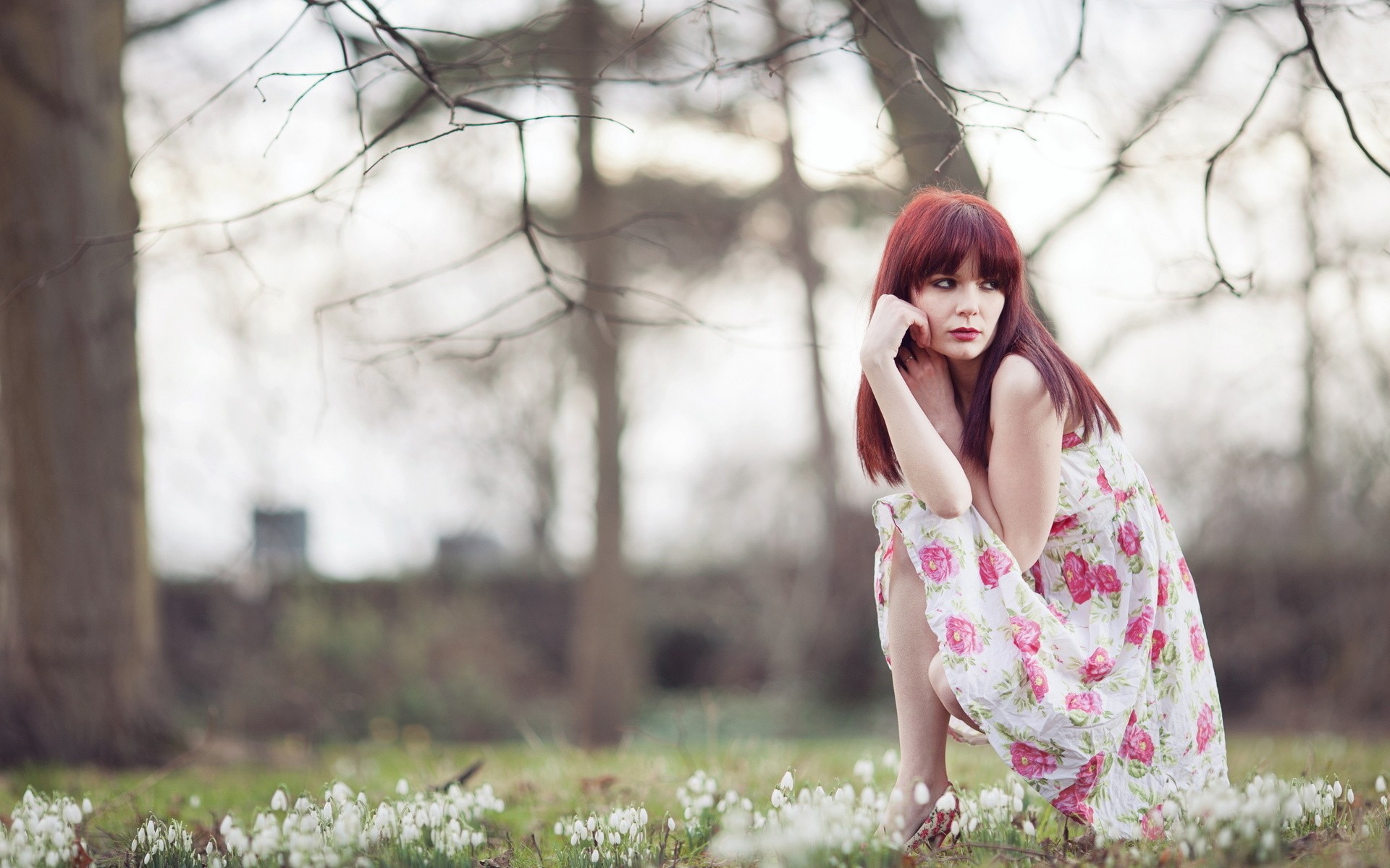 рыжие, рыжие, гороскоп