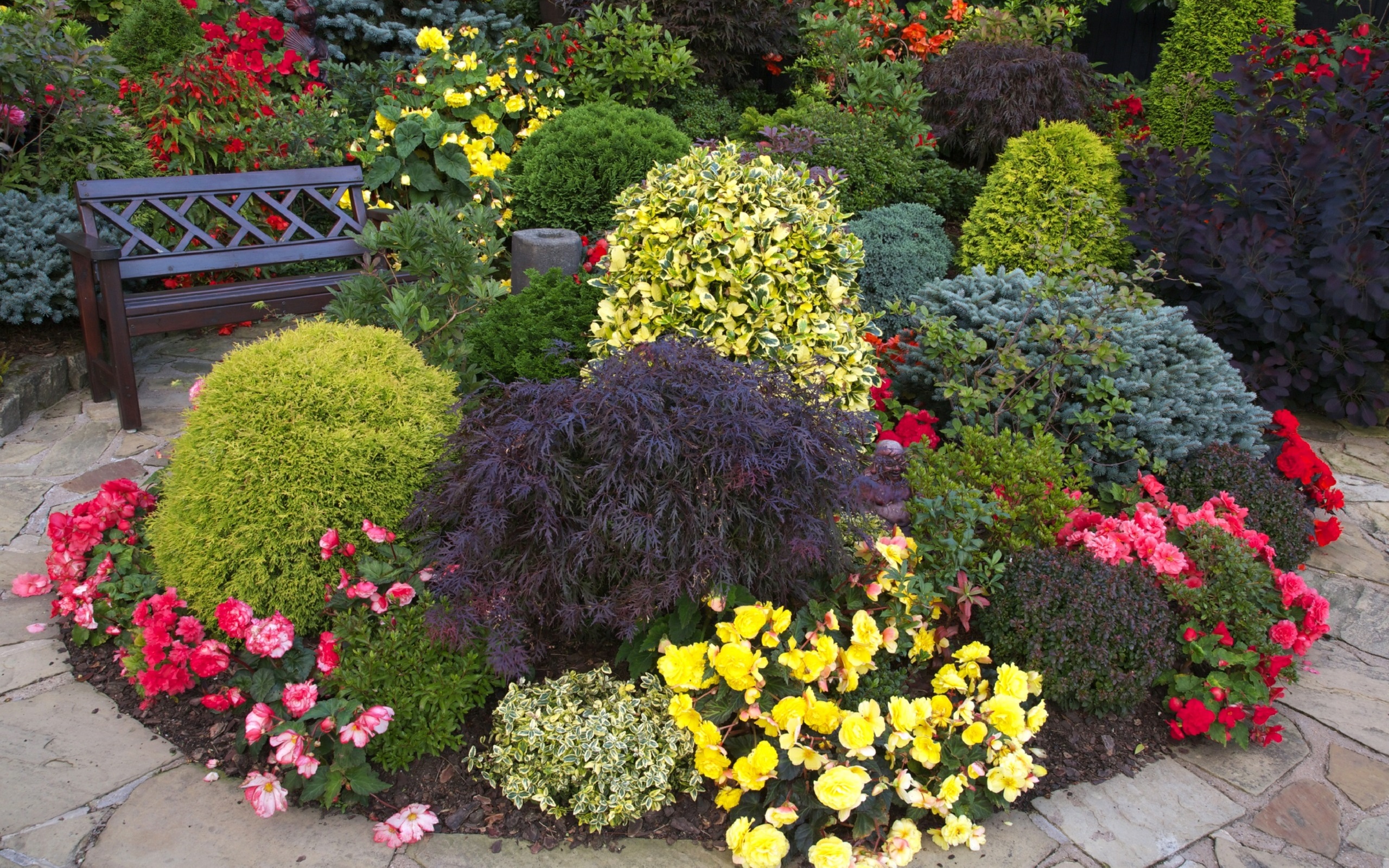 клу, рука, дасим