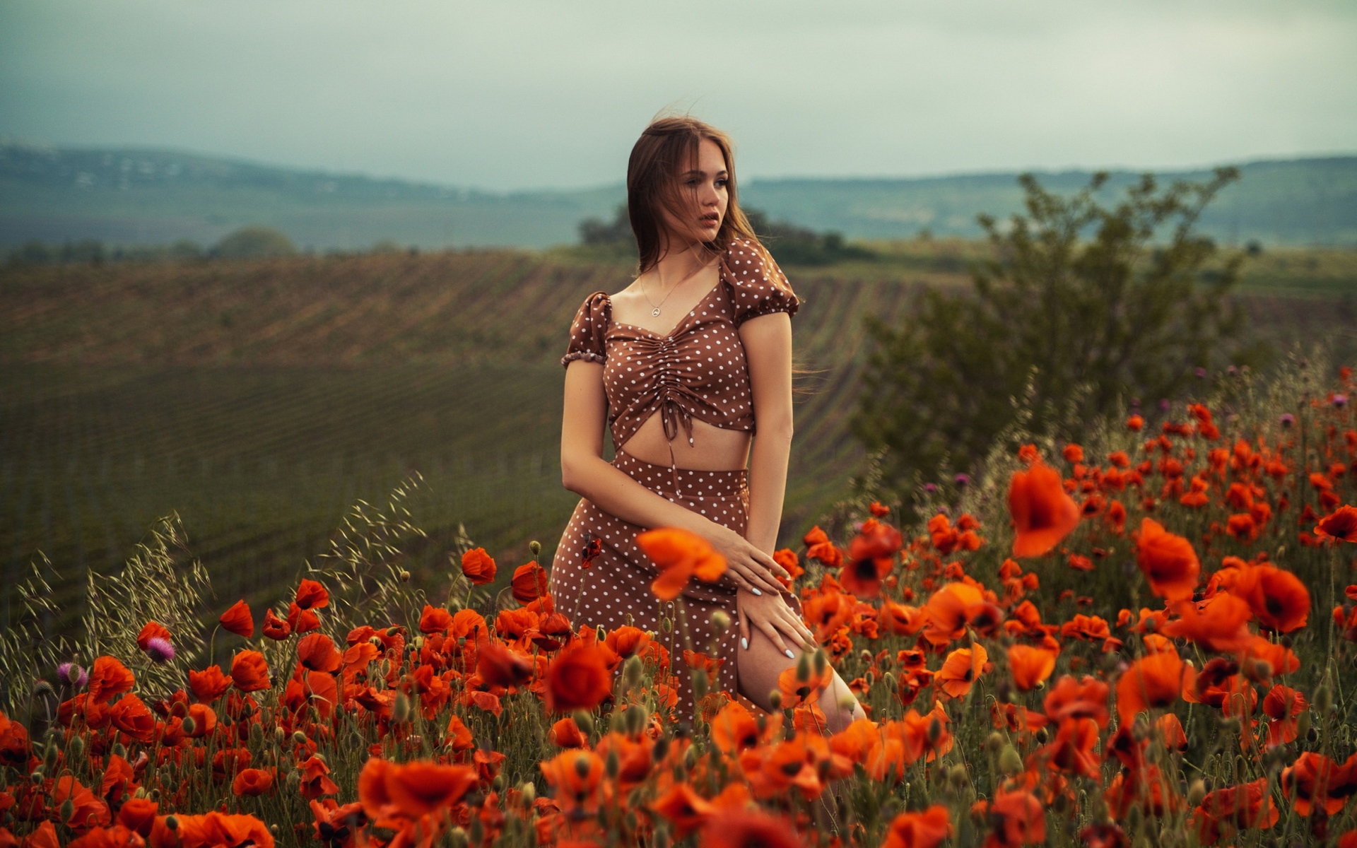 поле, цветы, девушка