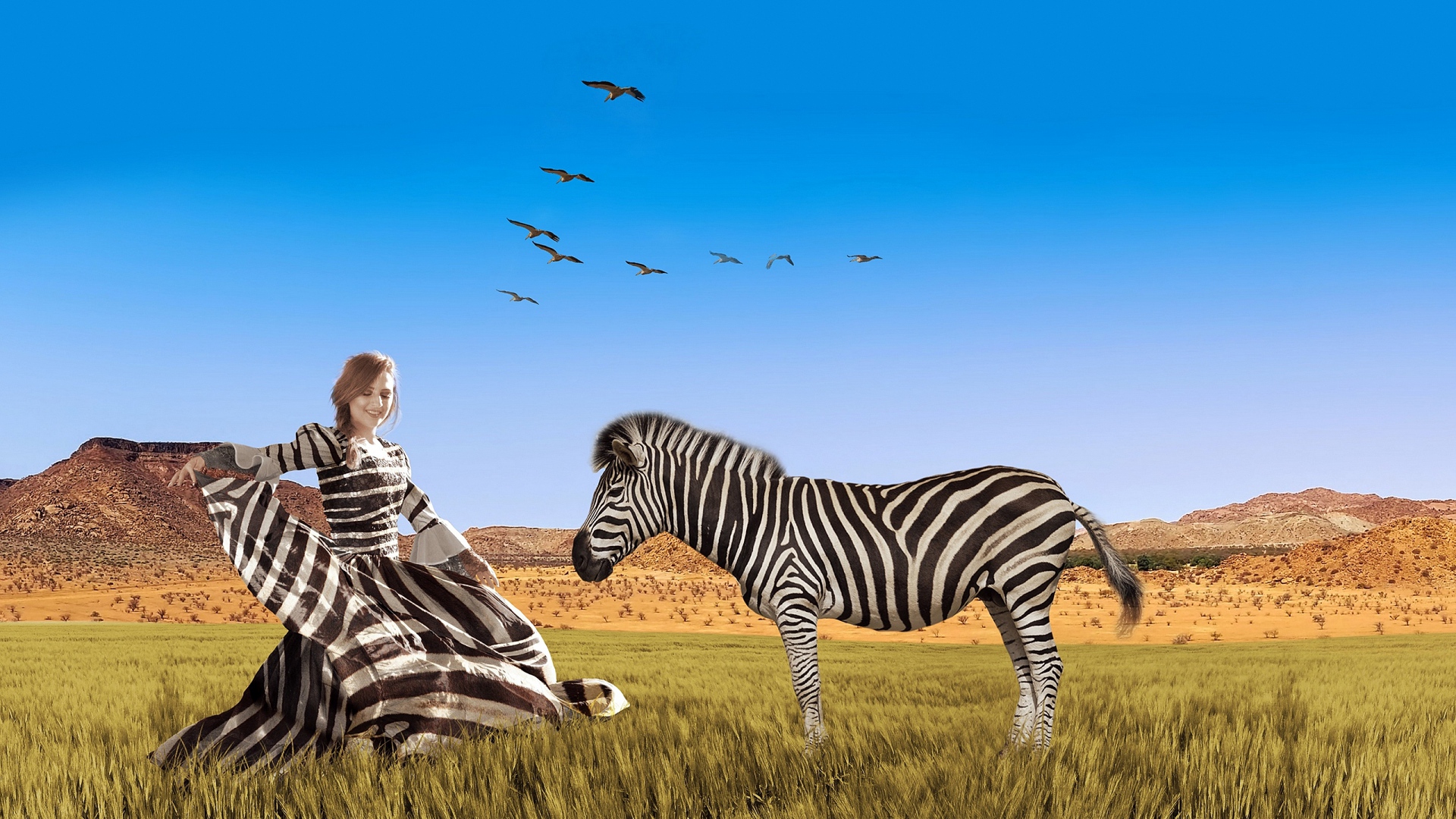 citan, daimle, слово