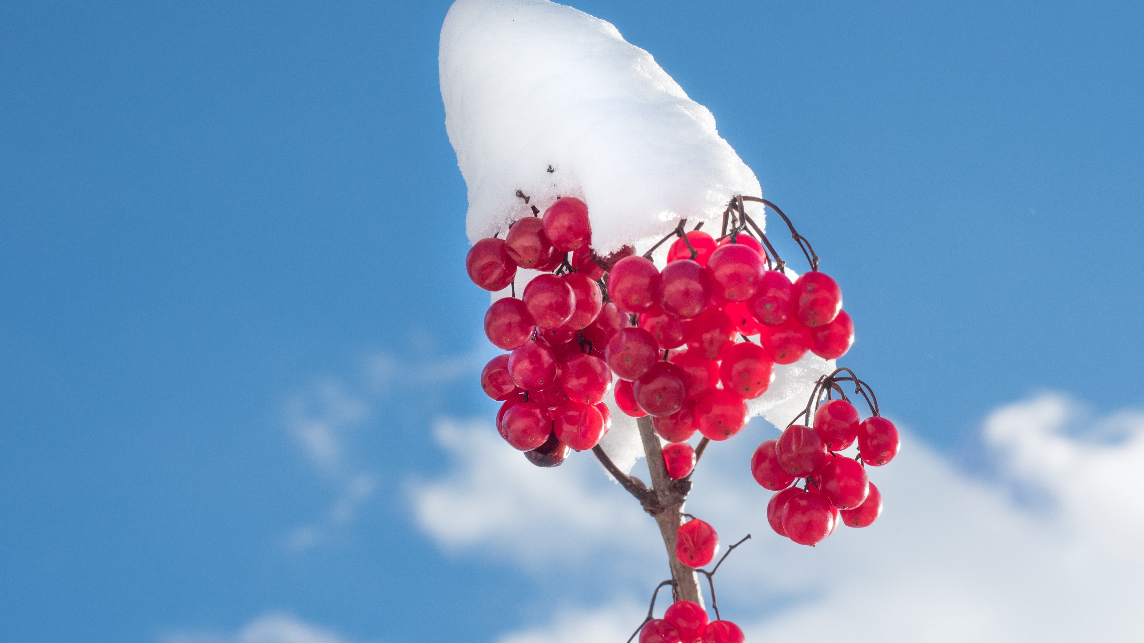 infoserver Разрешение 3840x2160