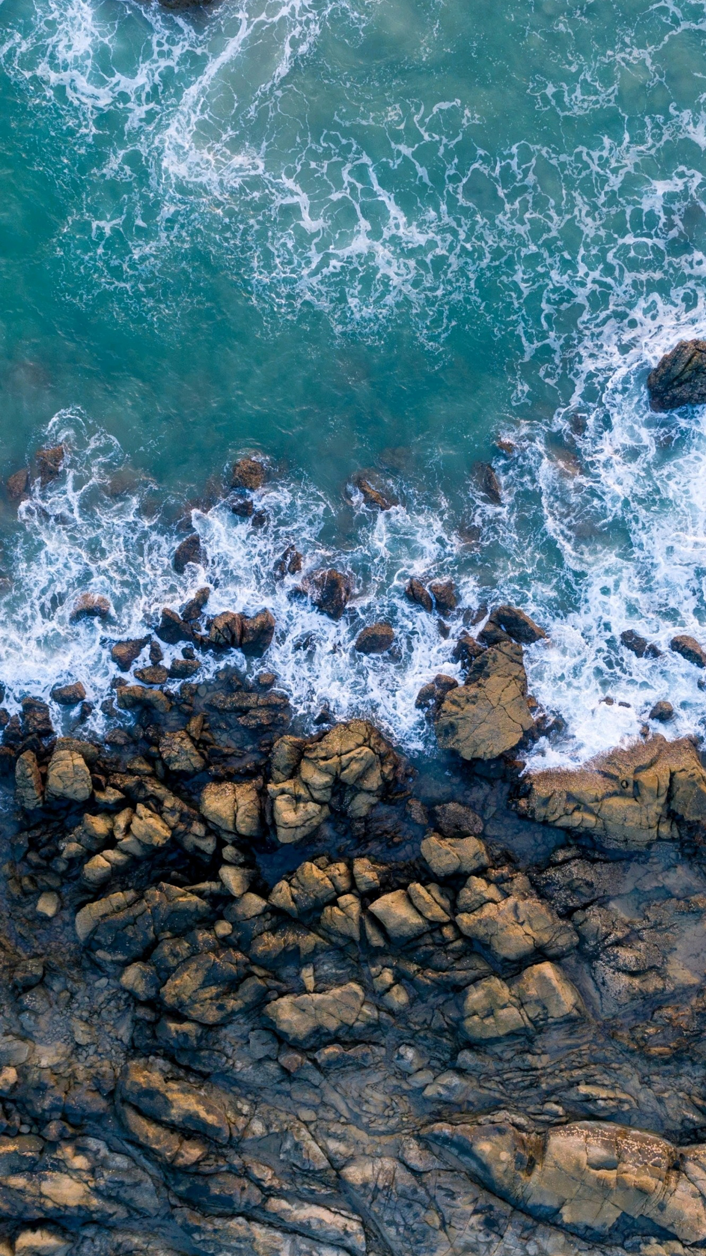 море, персона