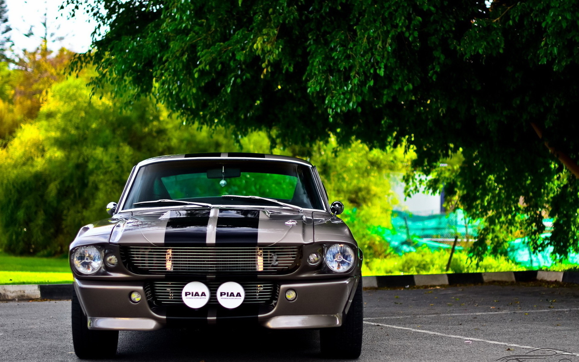 mustang, auto, ford