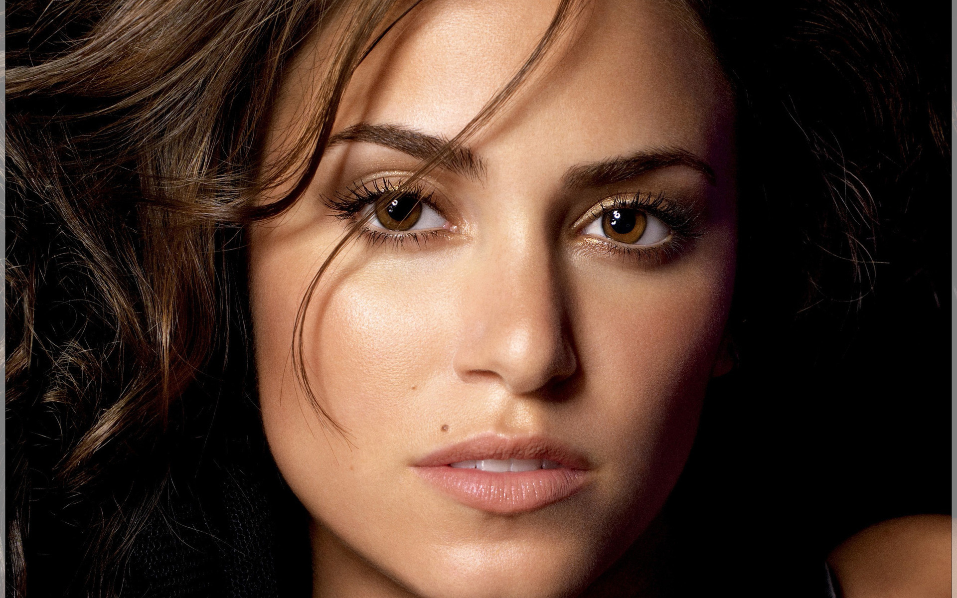 ried, nicci, сумерки