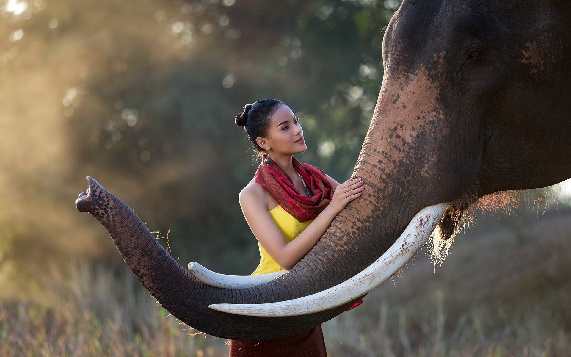 слона, сутипонда