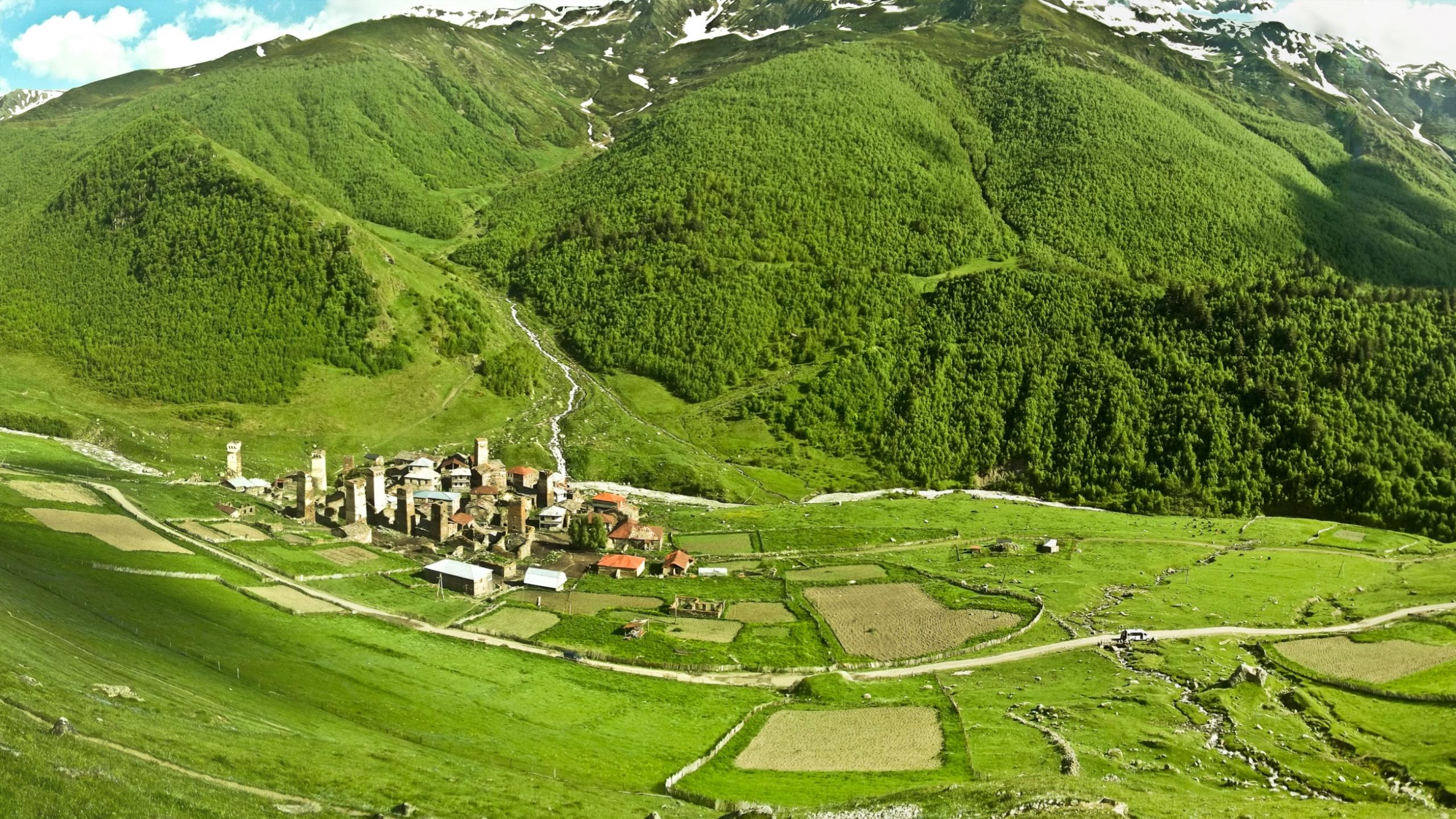 георгия, дом