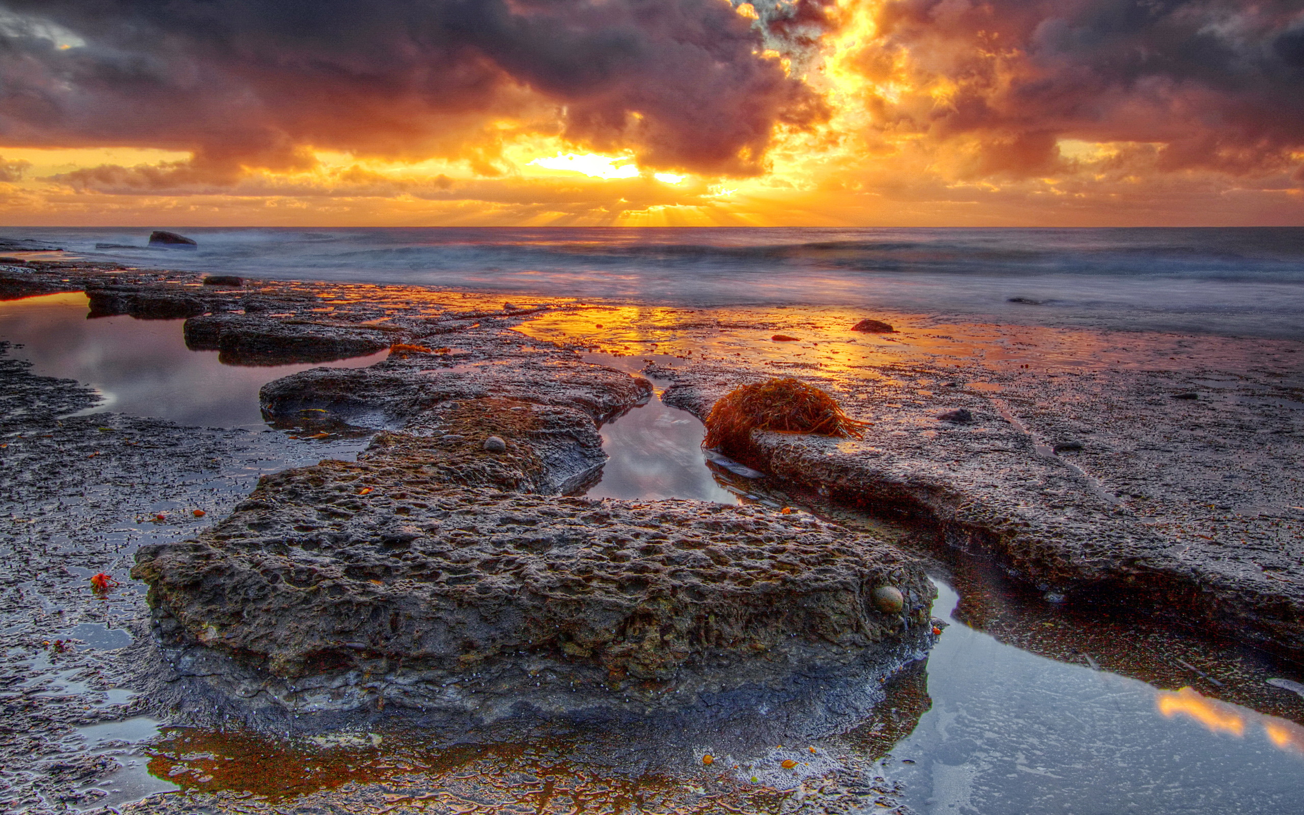 настольный, жесткий, зашифрованный No 137274 Разрешение 2560x1600