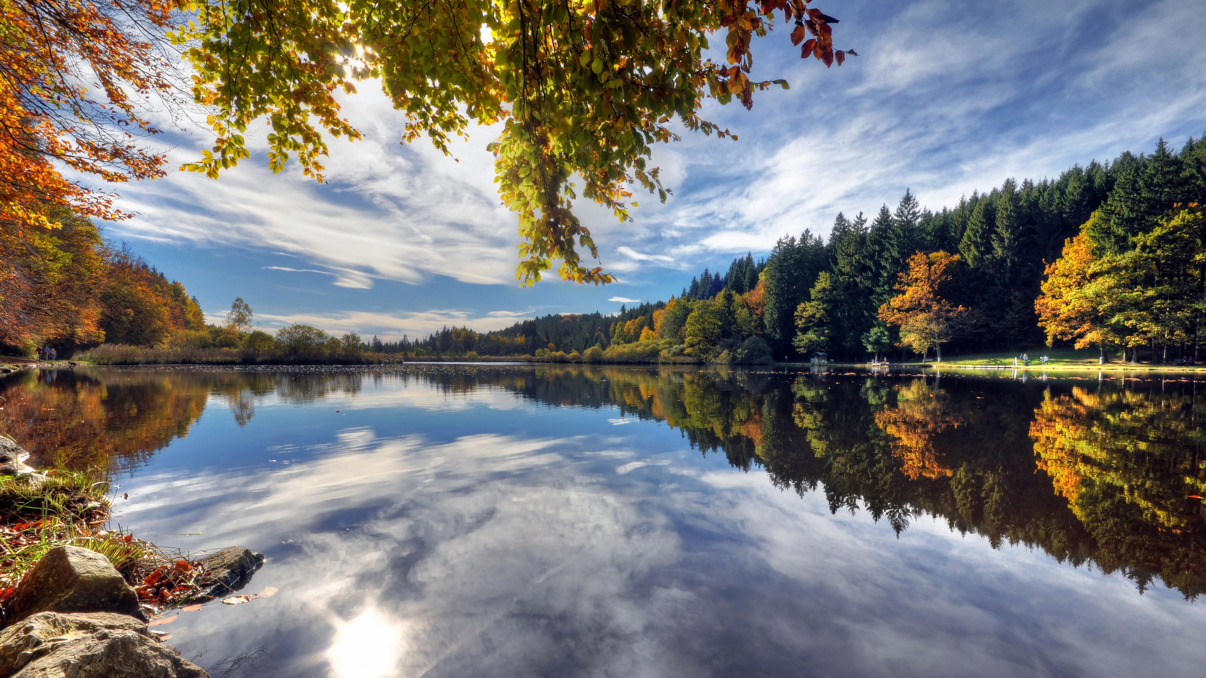 смотри, эйхер, динингер