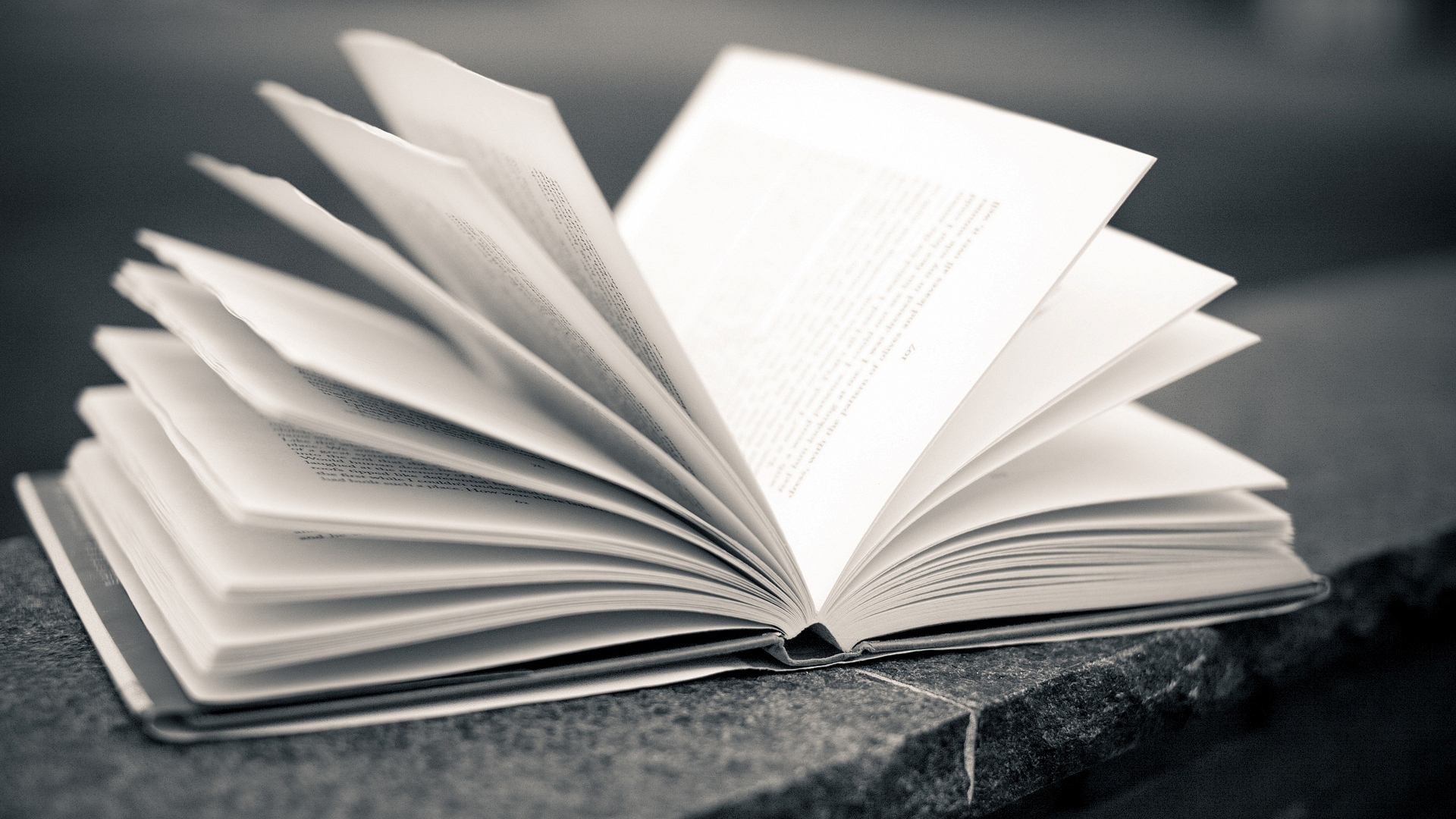 книга, книжка, лист