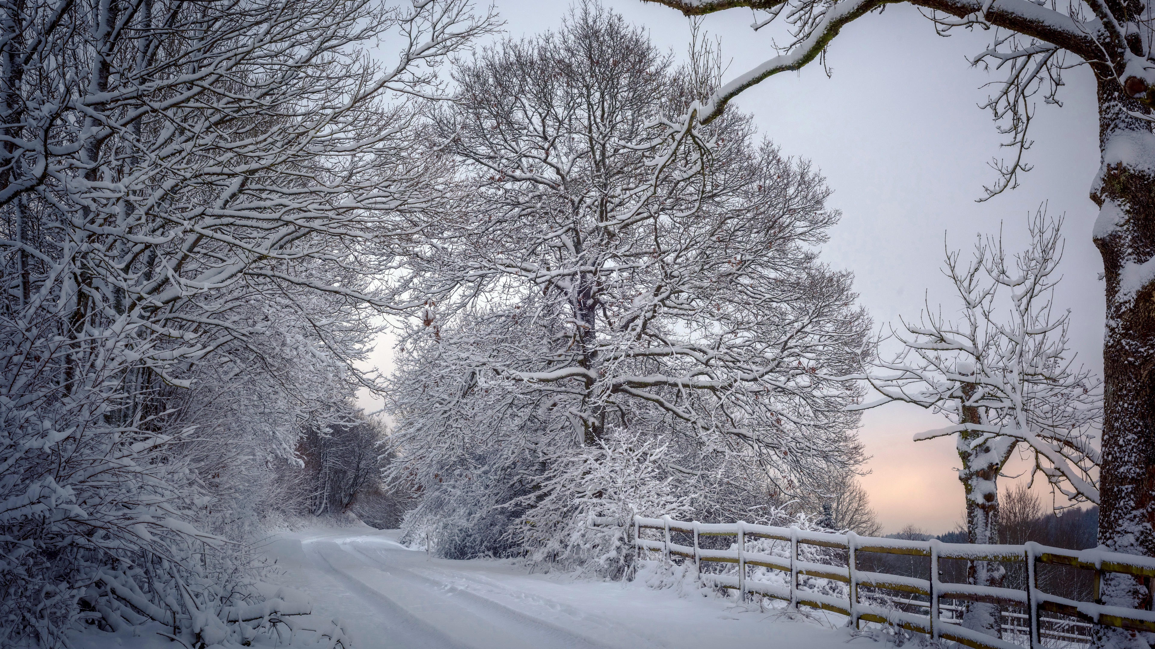фото, снег, зима