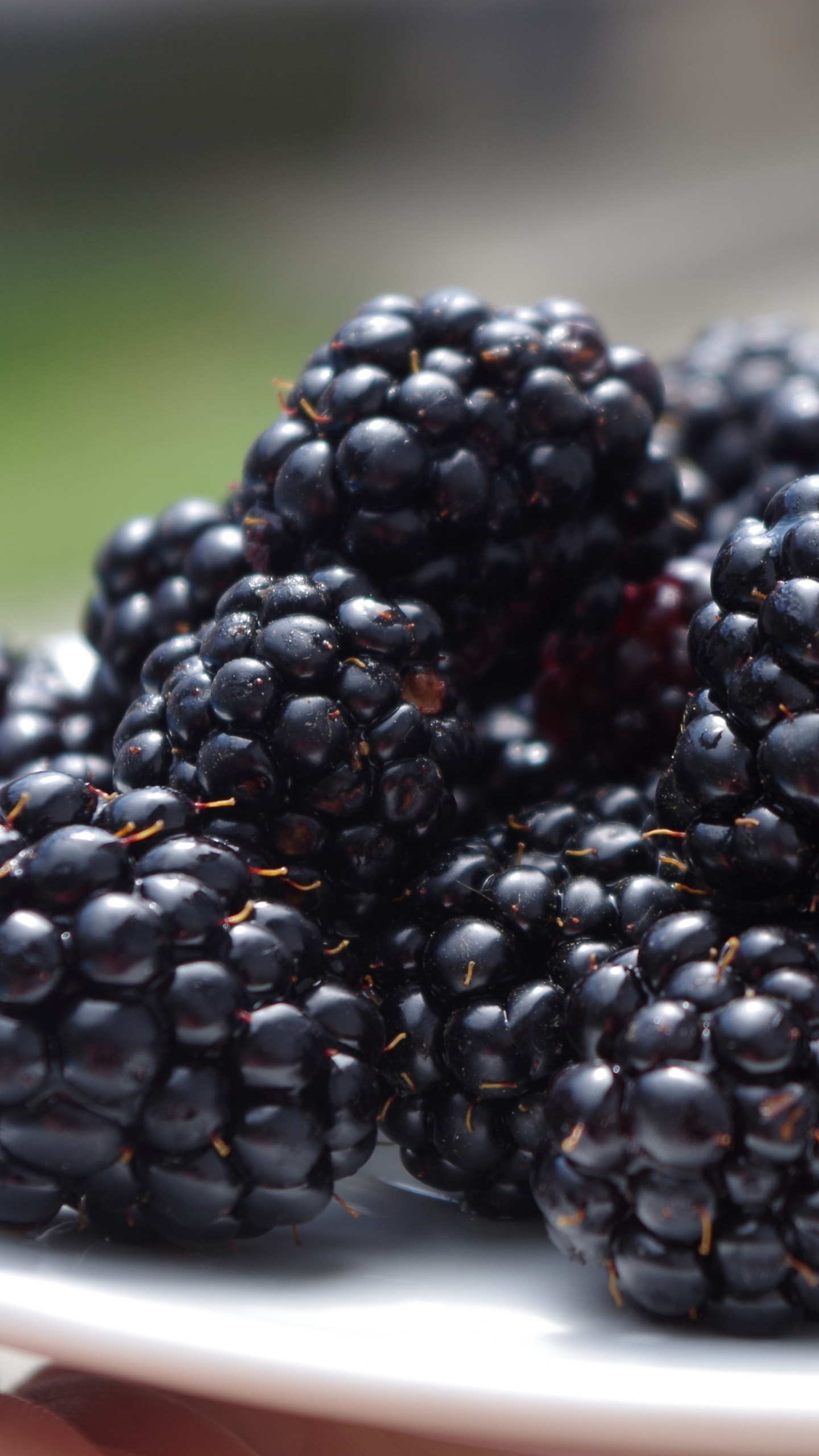 закрытая груда ежевики, сидящая на столе