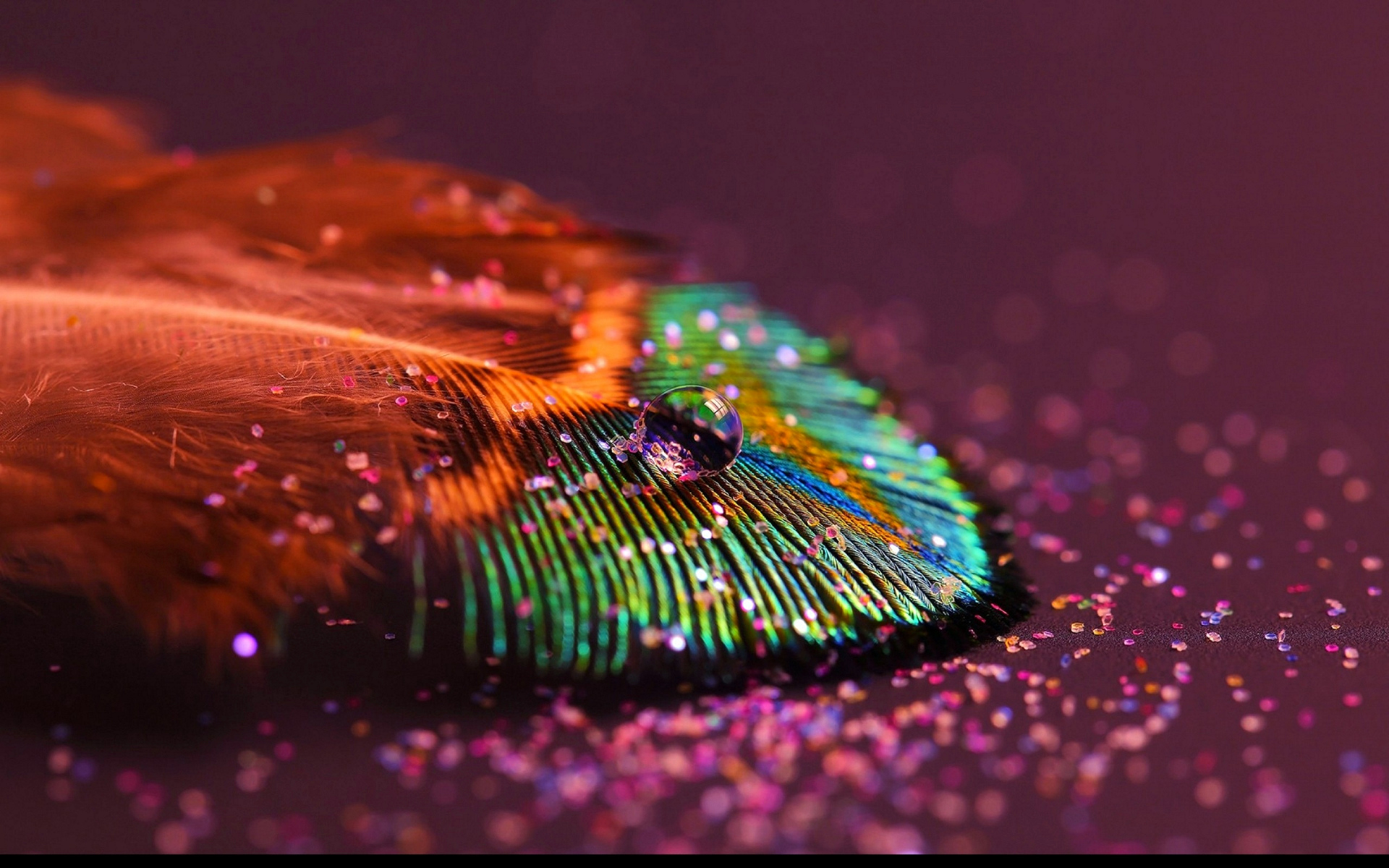 перо, цветное, drop