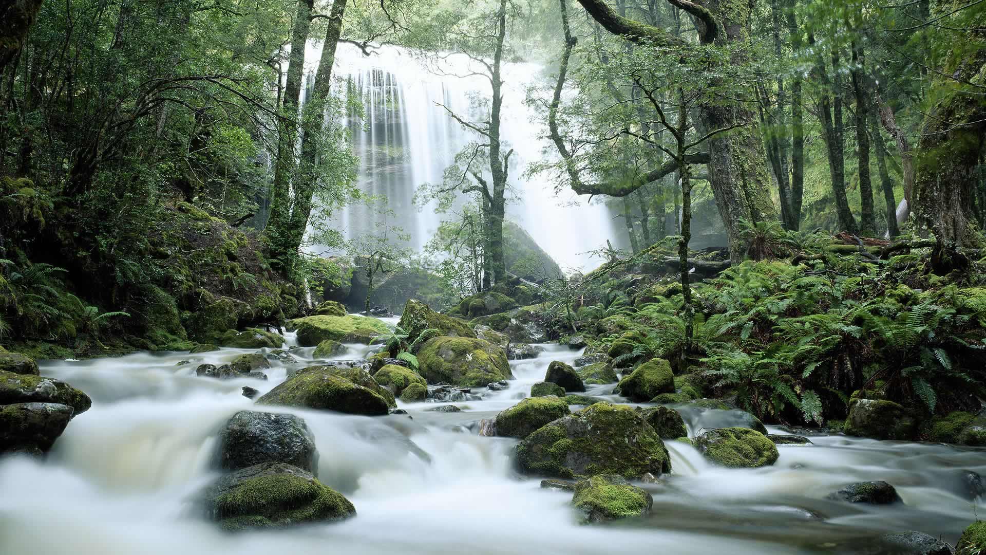 tasmania, pemandangan, aslus