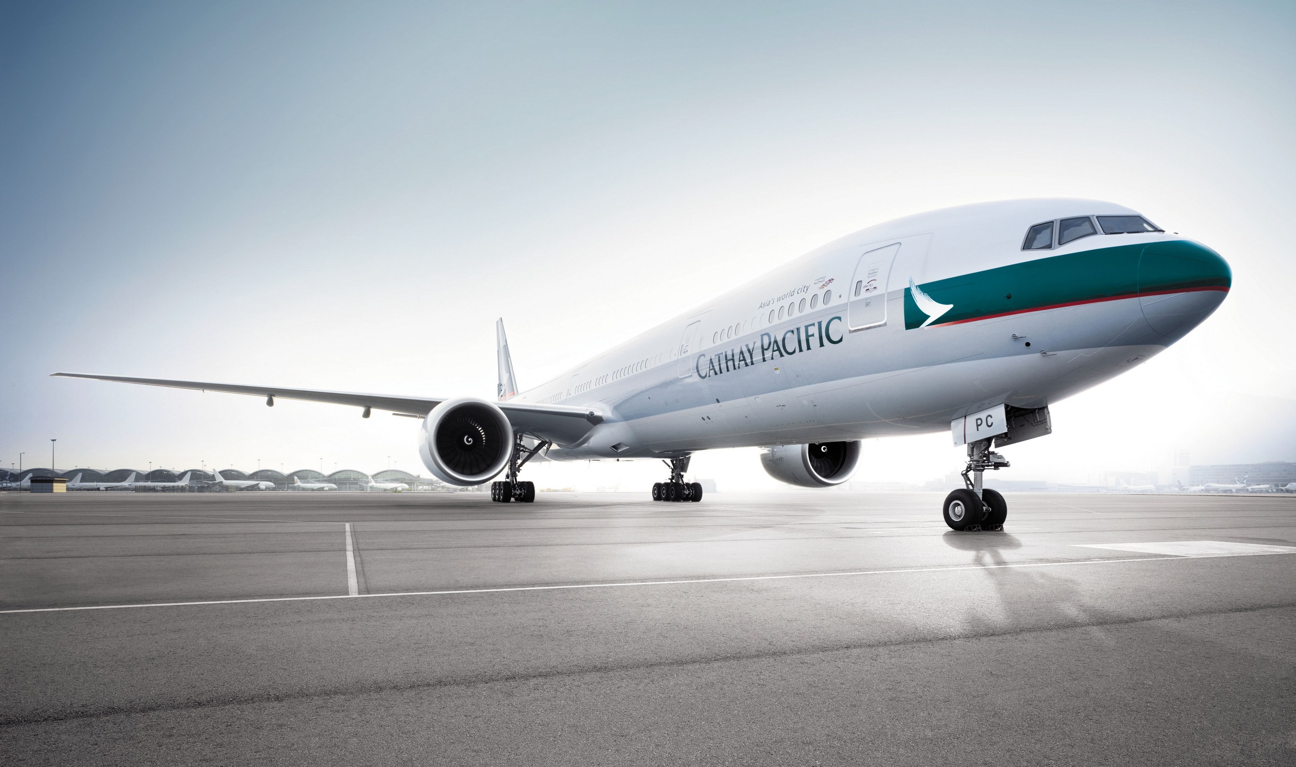 кошачий, пацифический