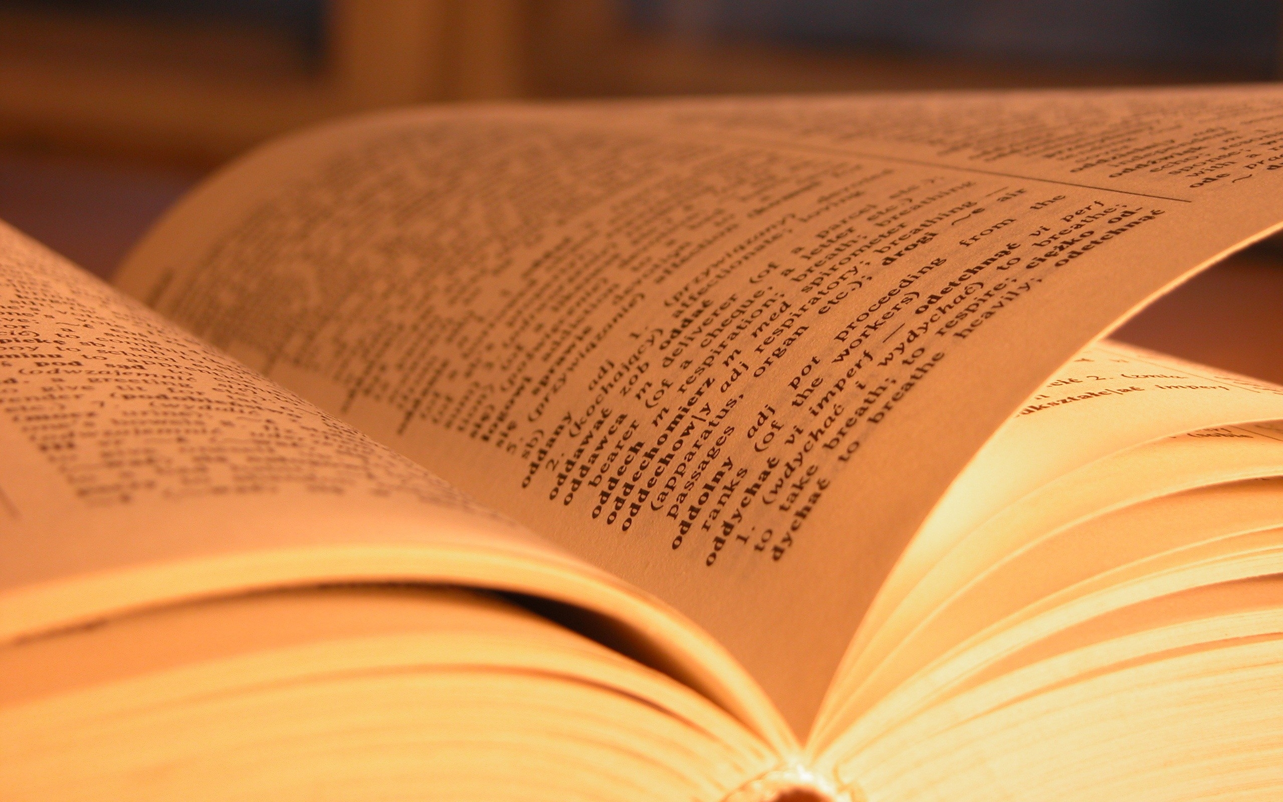 книга, раскрытая, книги