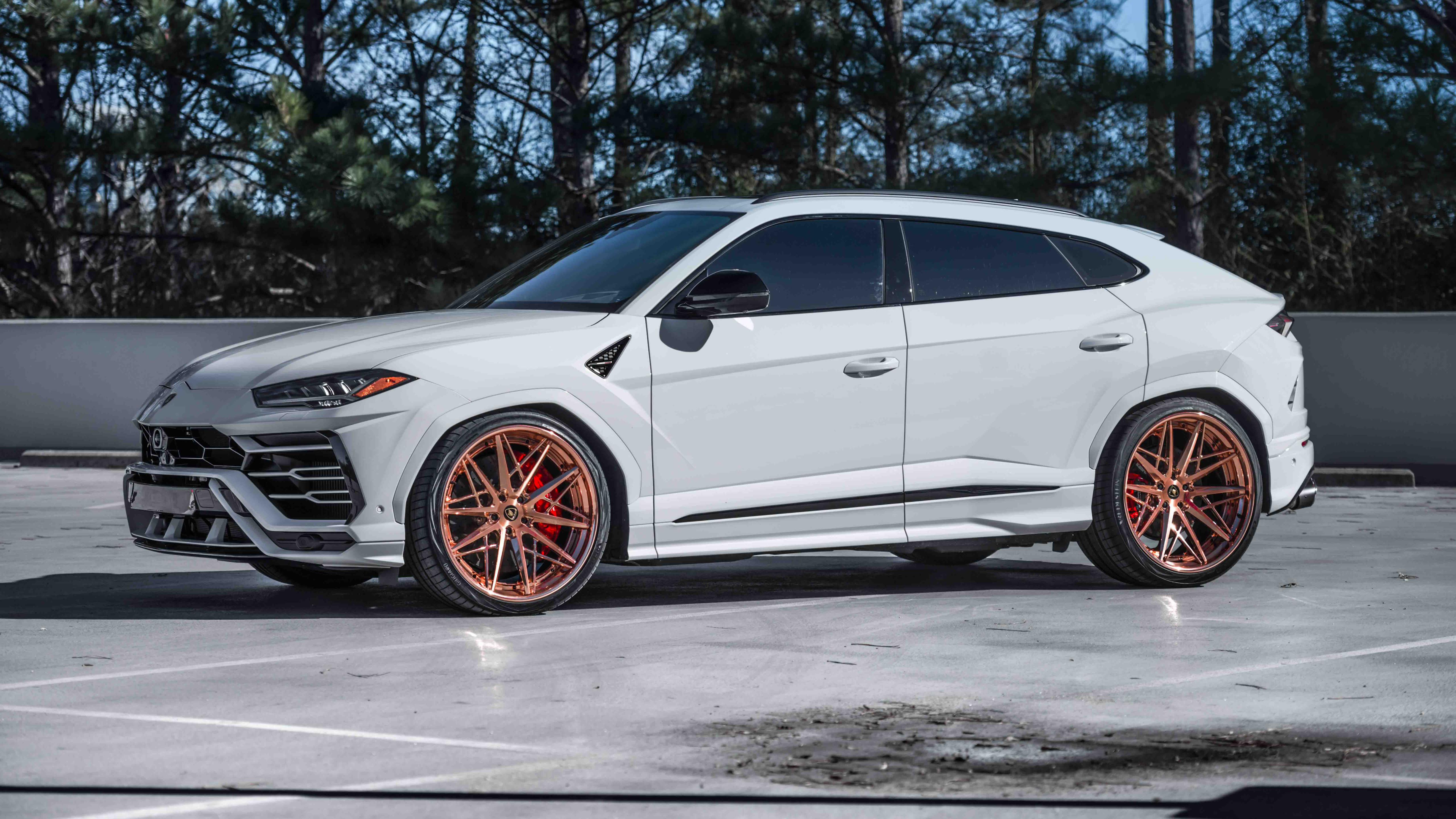 urus, car