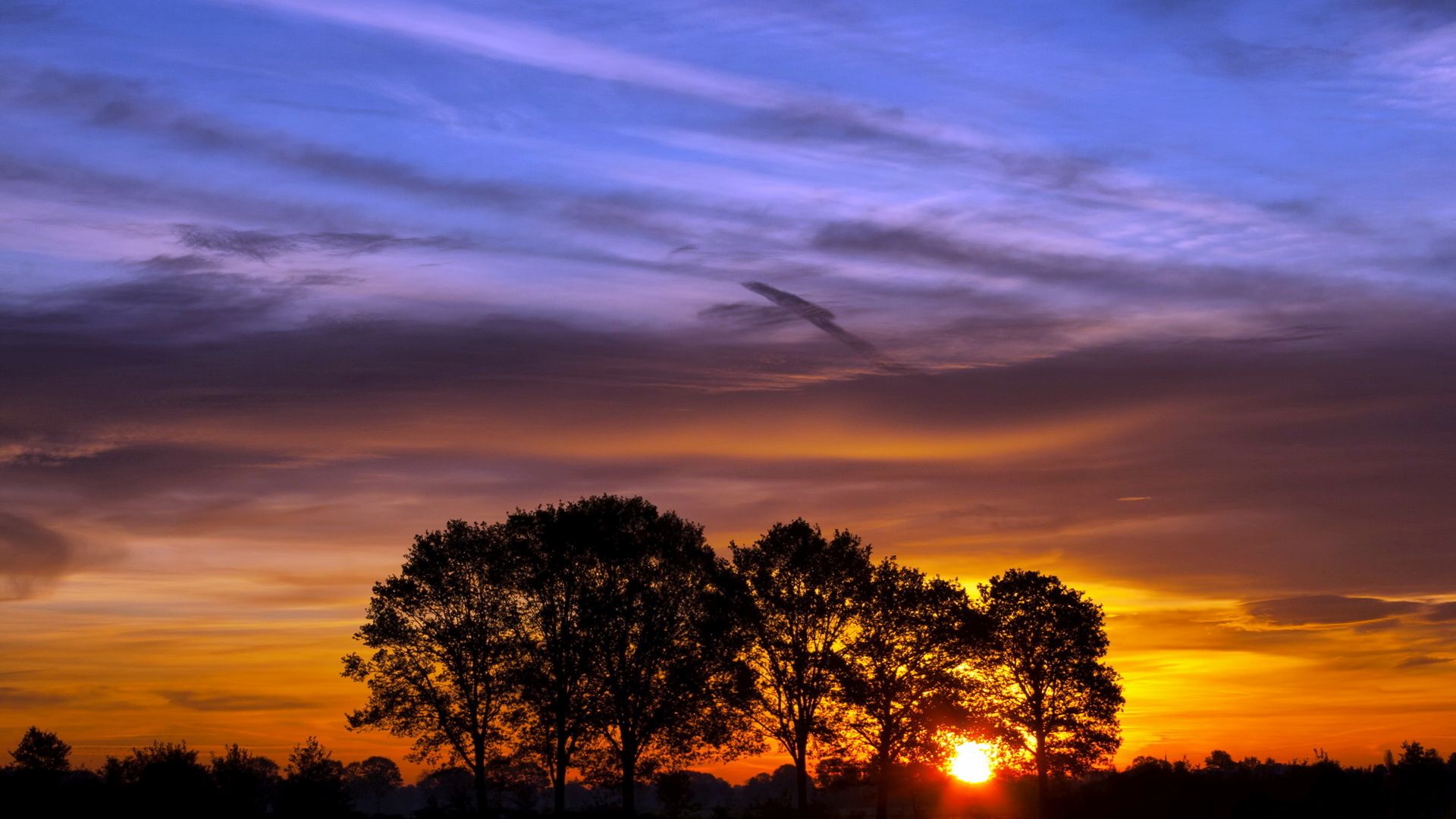 спасибо, дар