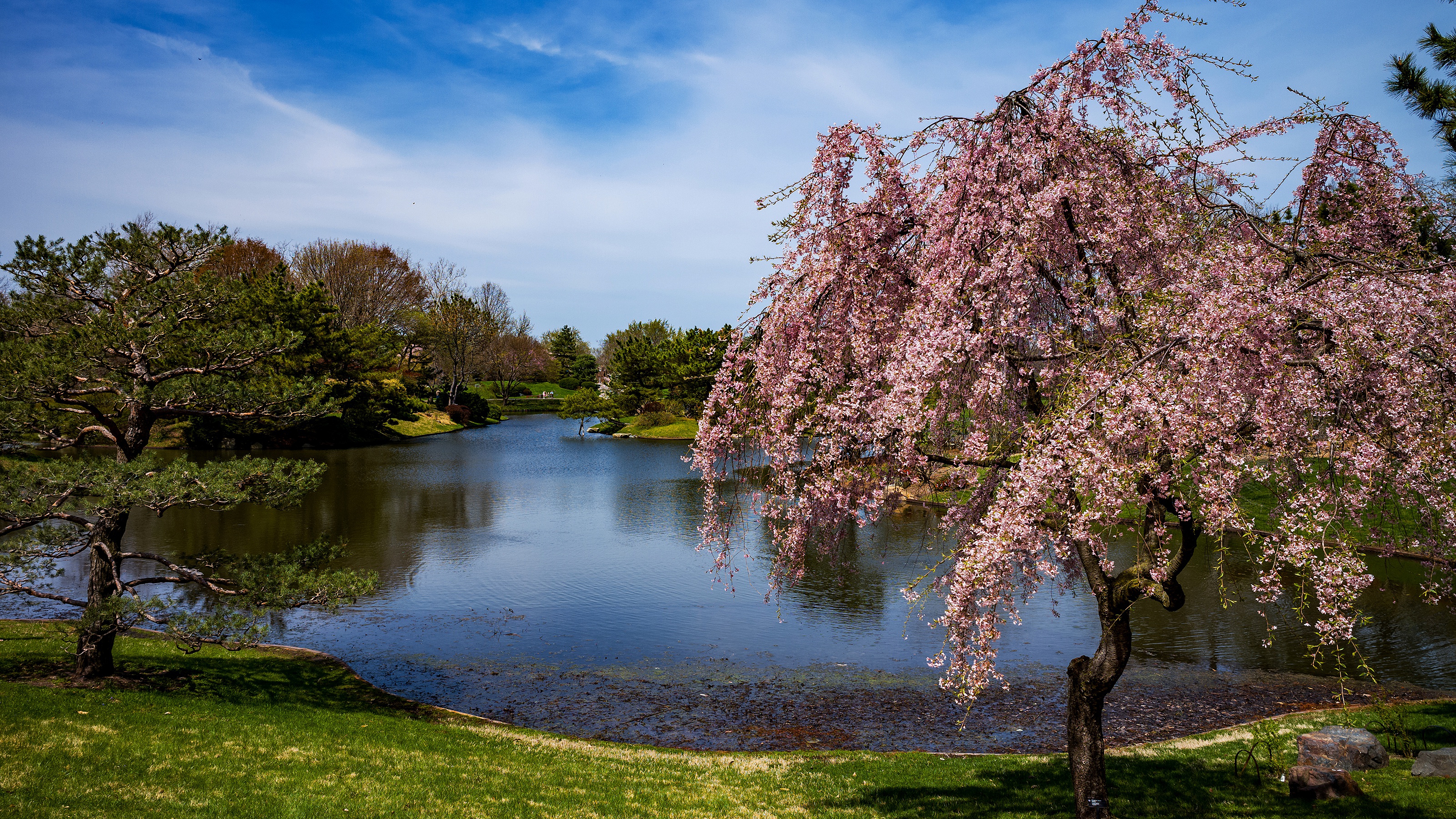 пейзаж, натуральные, сад