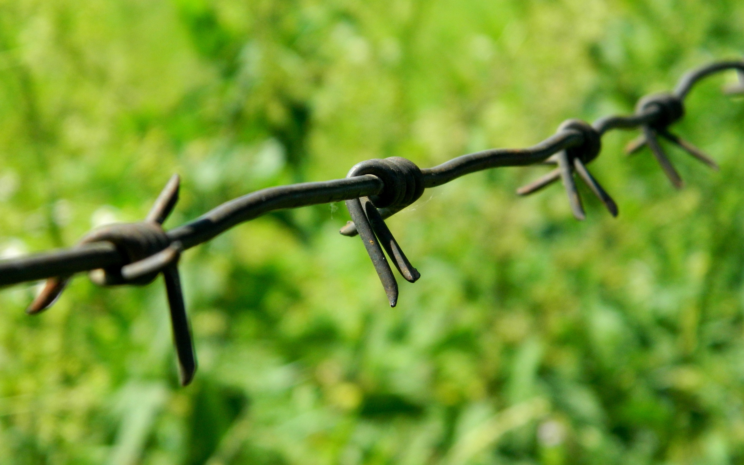 fences, delay, pictures