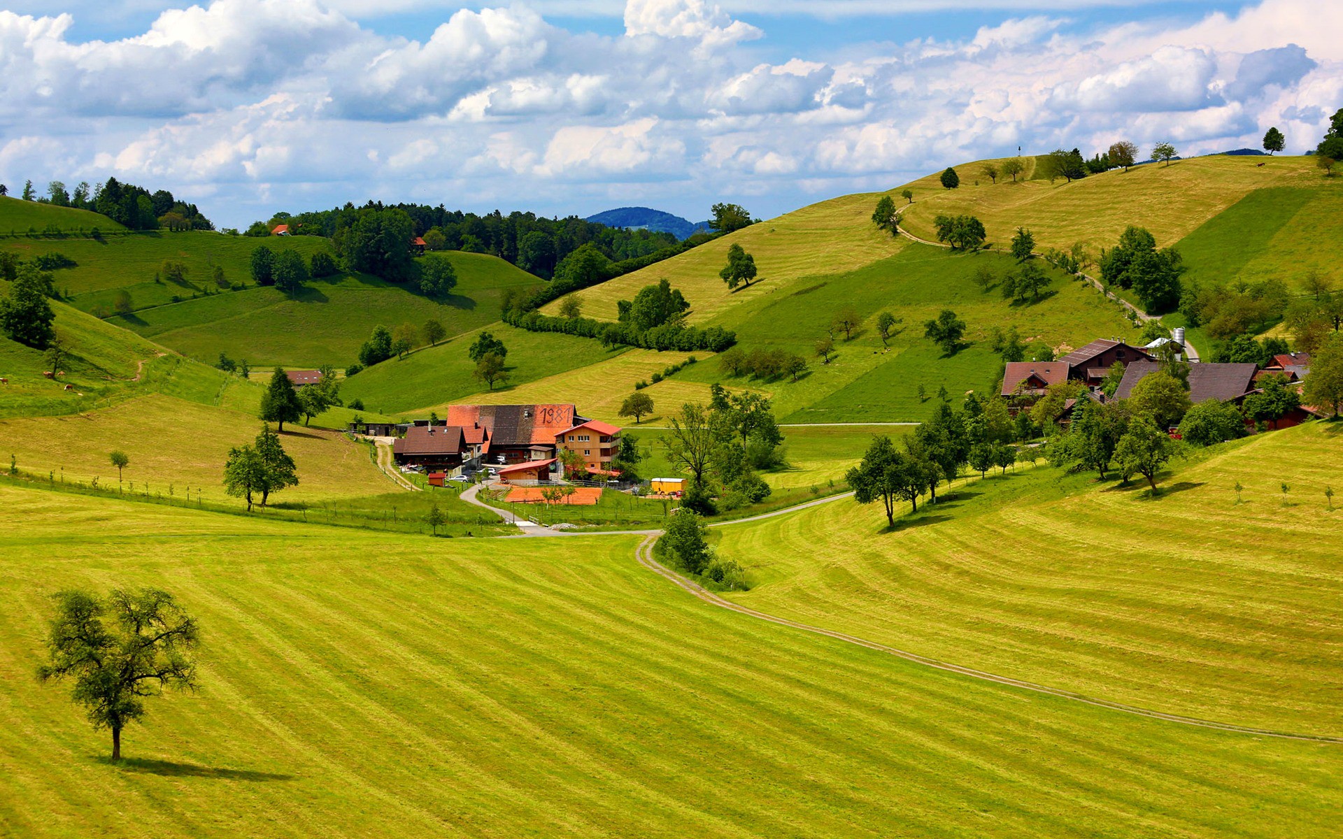 дом, сорняк