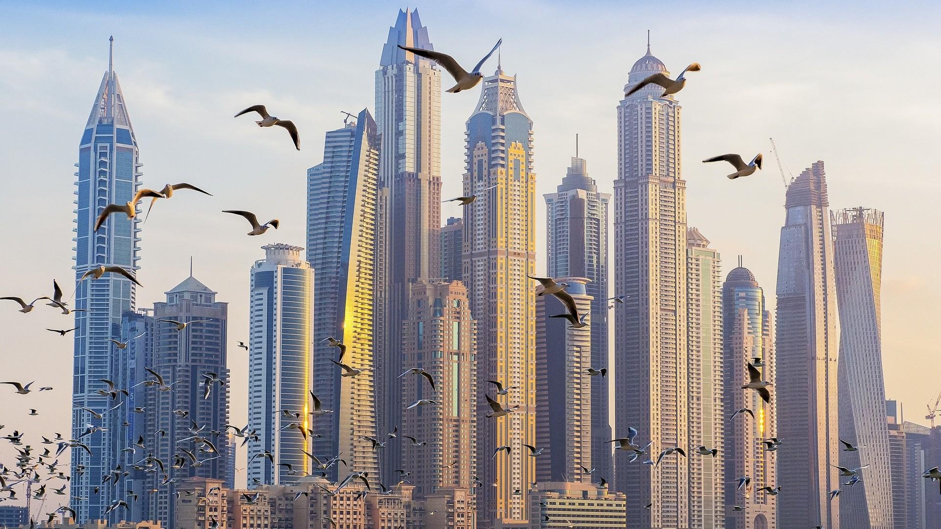 dubai, марина, art
