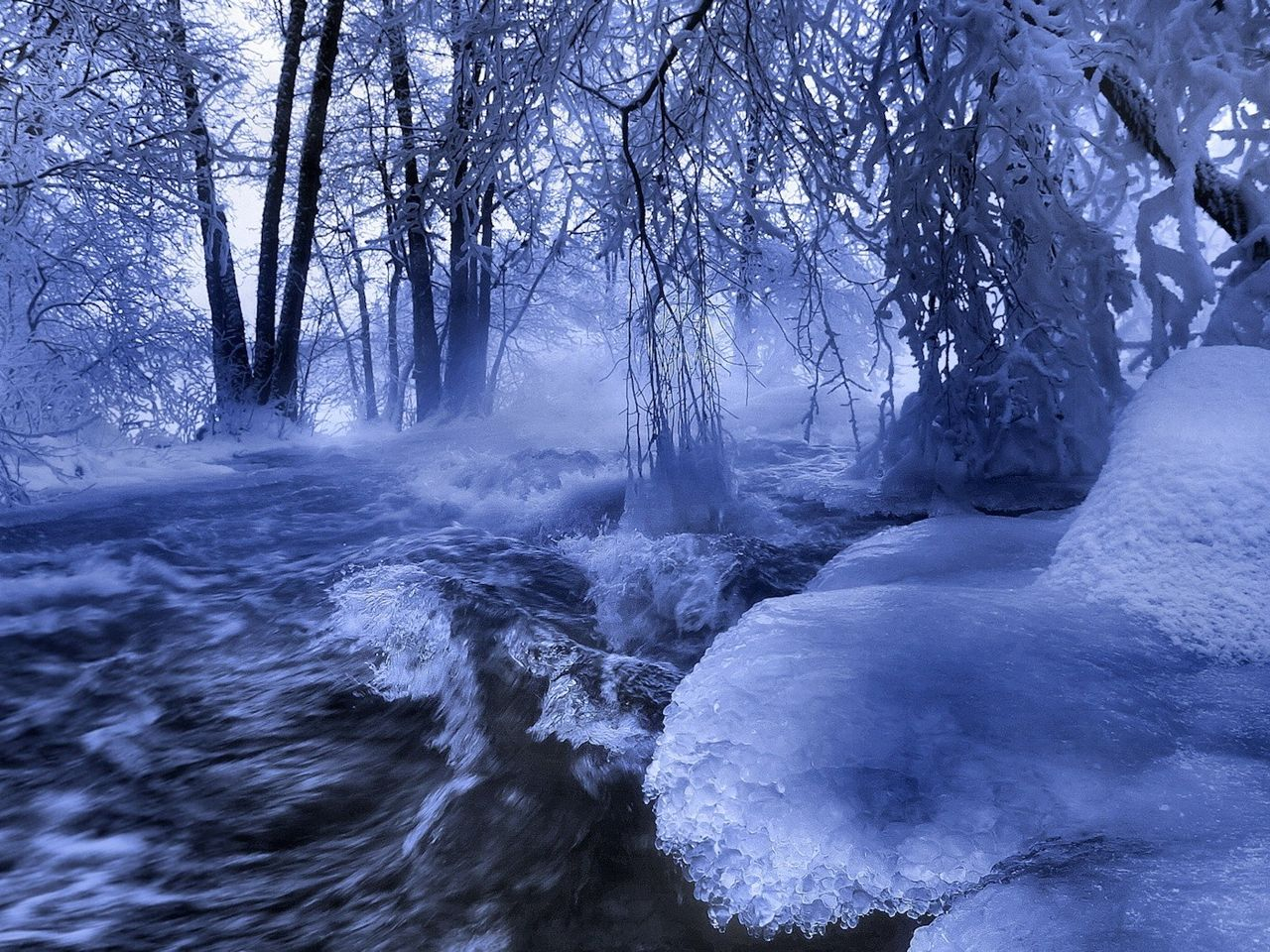 зима, бесплатные, биг