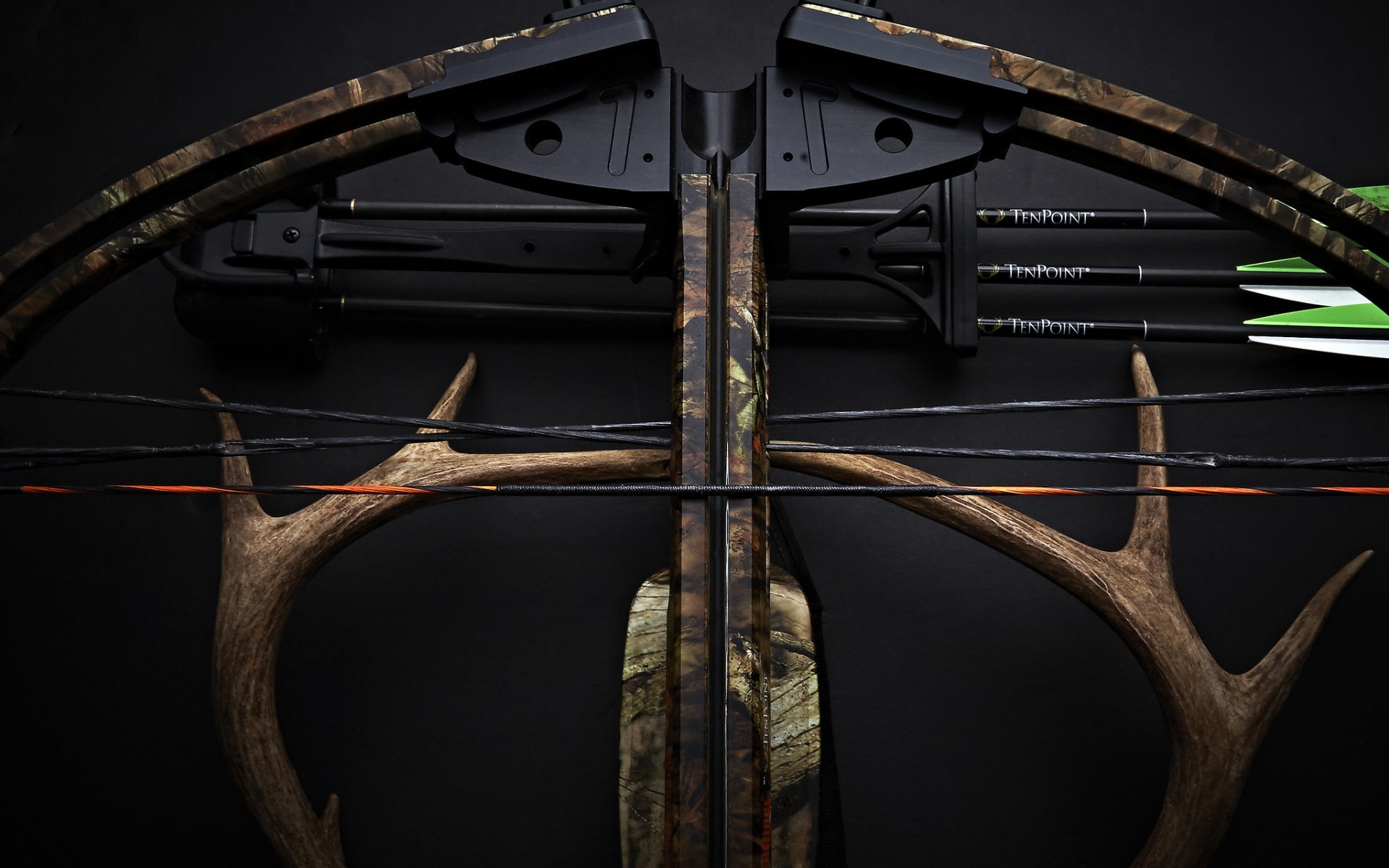 жизнь, арбалет, еще