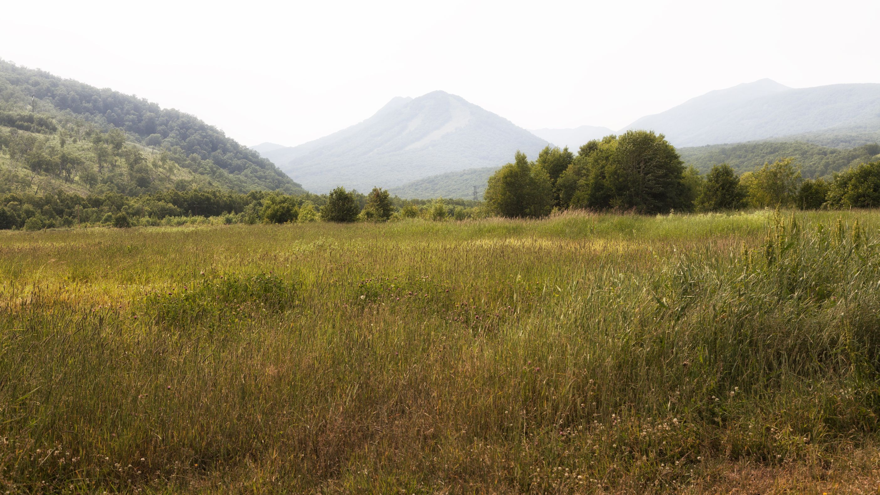 в нем есть поле с лошадью и горы на заднем плане