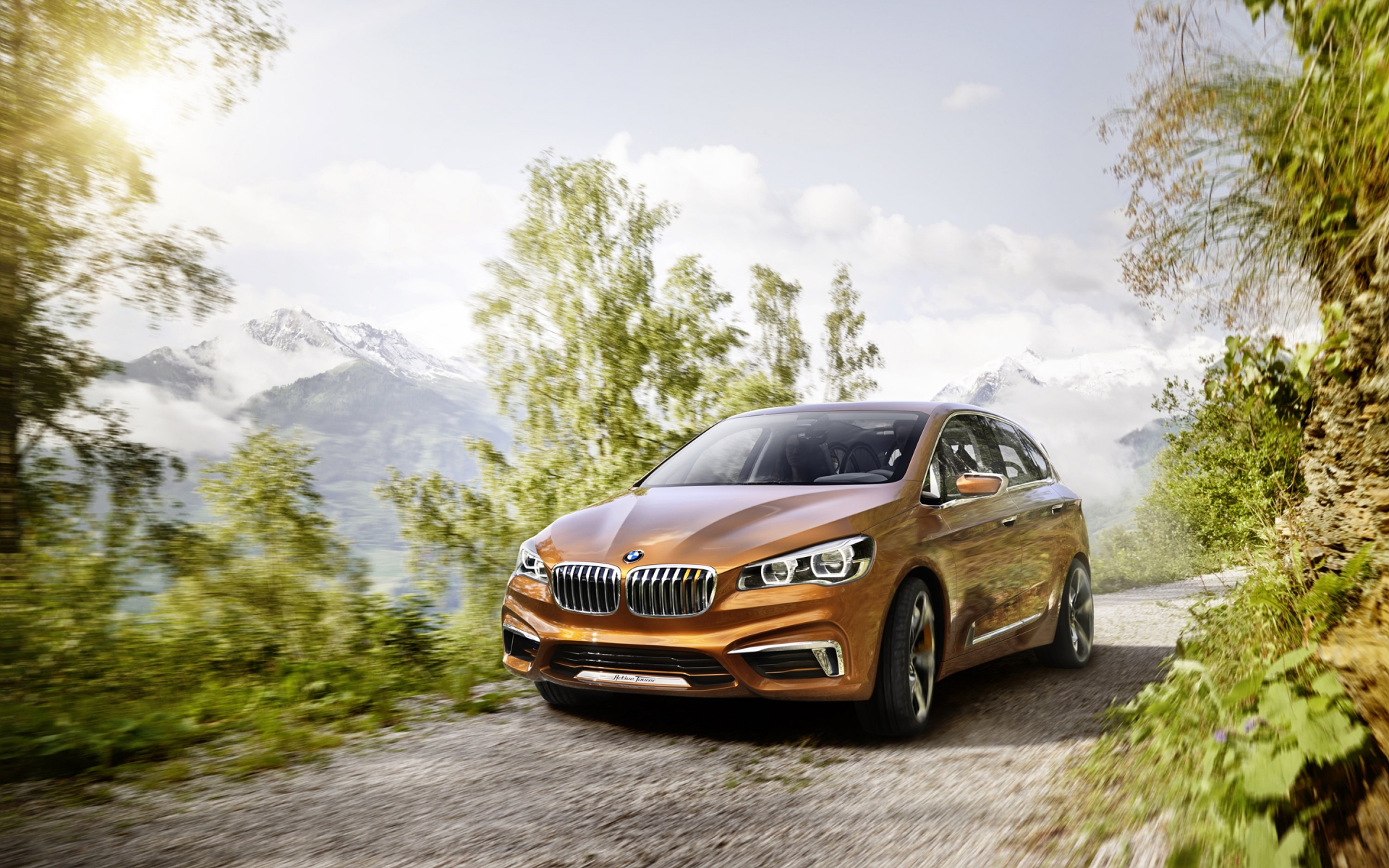 bmw, открытый, активный