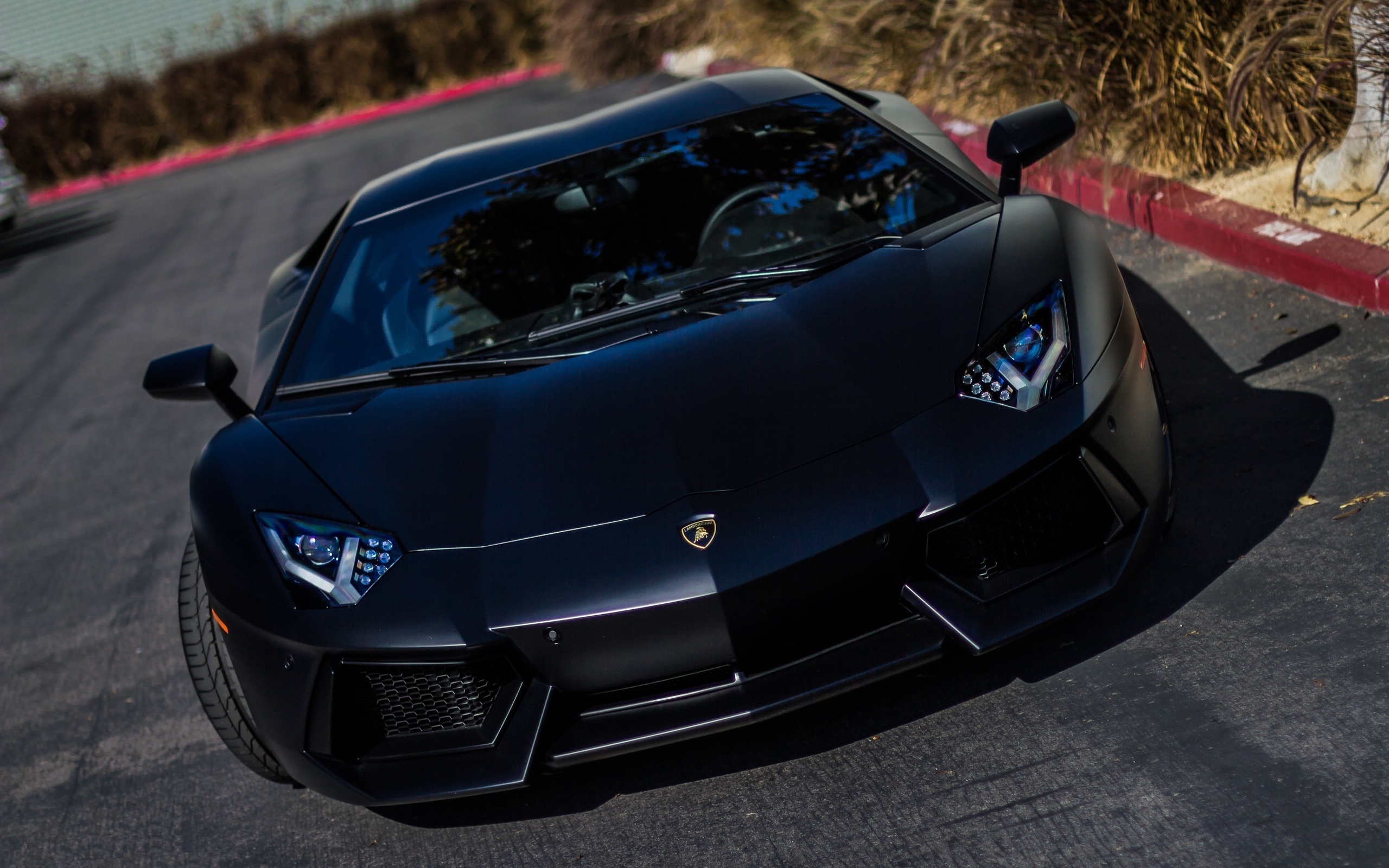 lamborghini, aventador, черный цвет No 159960 Разрешение 2560x1600